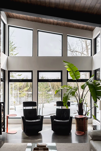 Modern living room with large windows, two black armchairs, and a tall green plant in a pot.