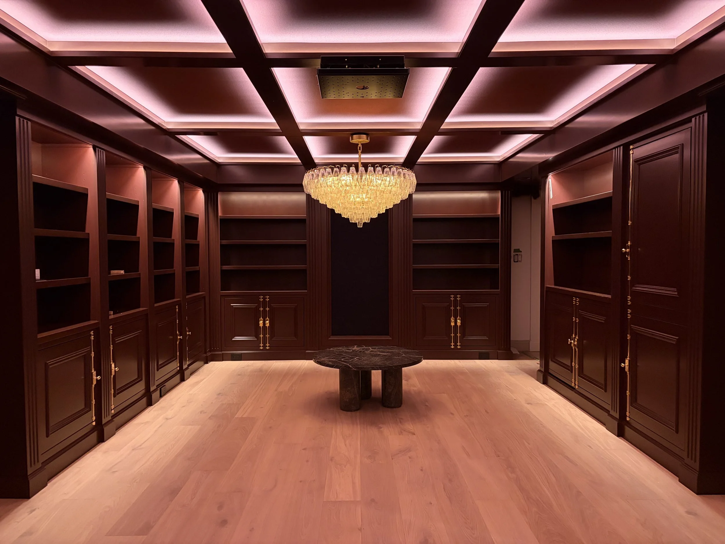 Daniali media room photo.jpg