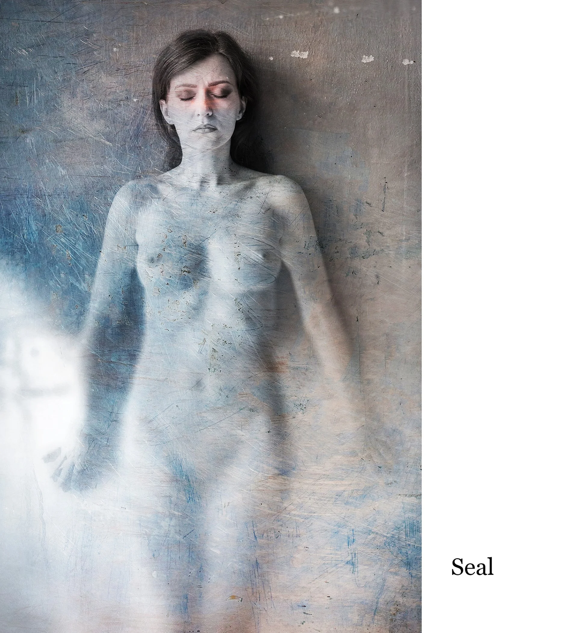 14 Seal-1A.jpg