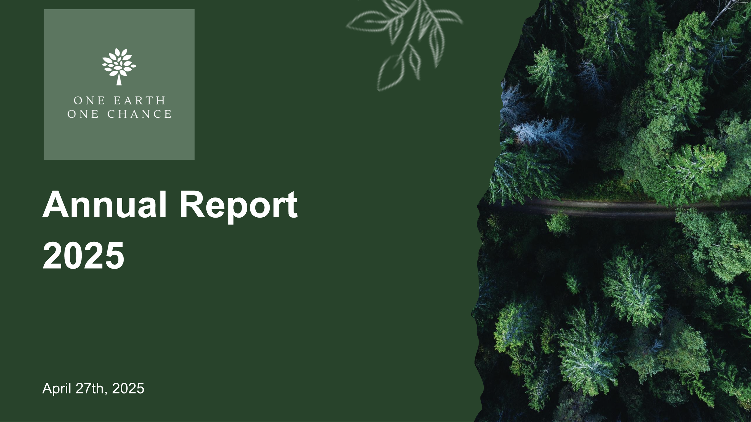2025 Annual Report Poster