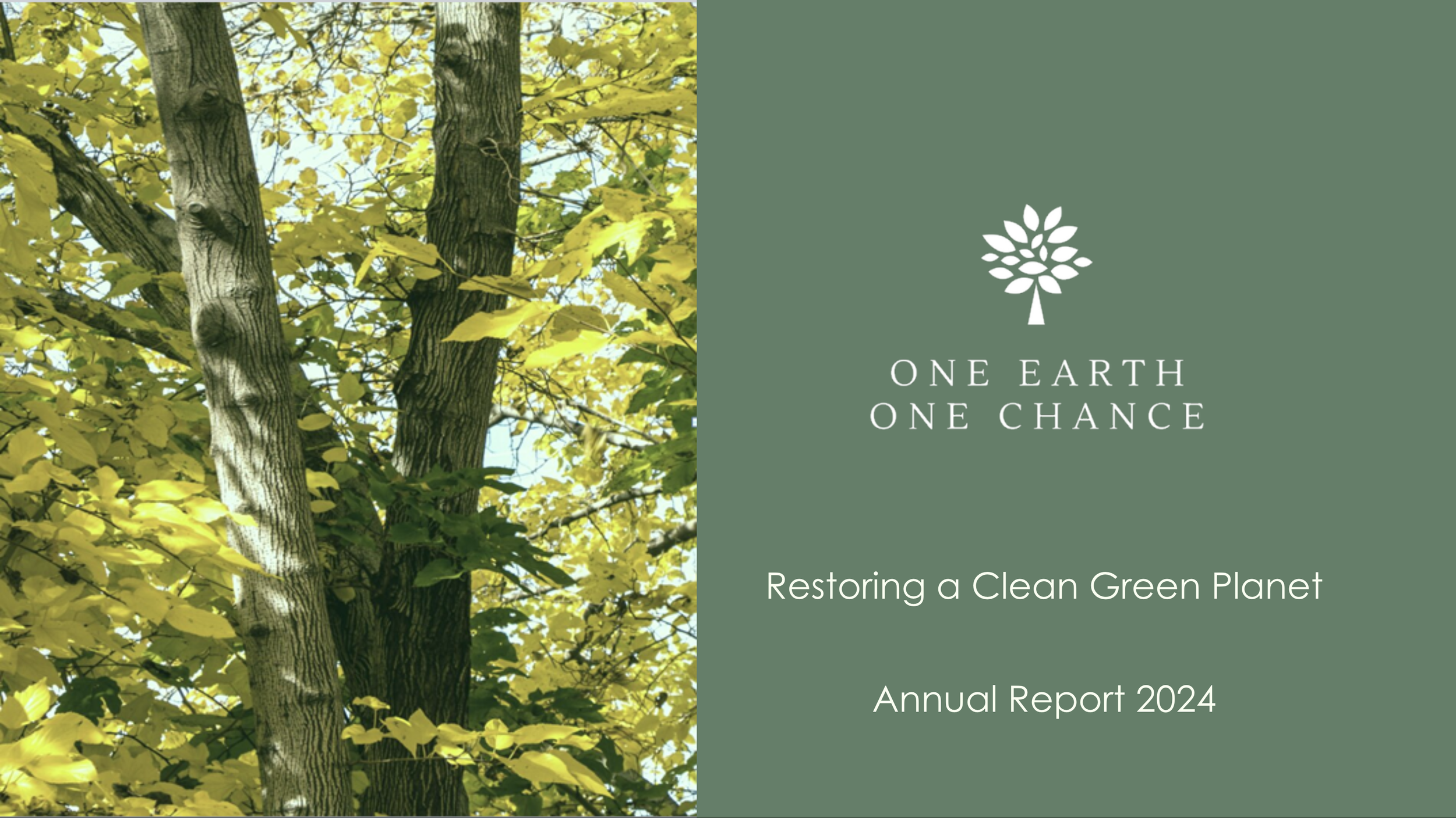 2024 Annual Report Poster