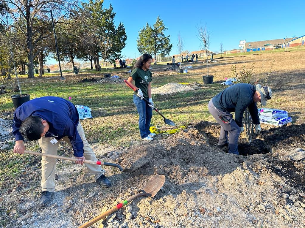 People planting trees in a park during daytime, with some digging holes and others preparing the area.