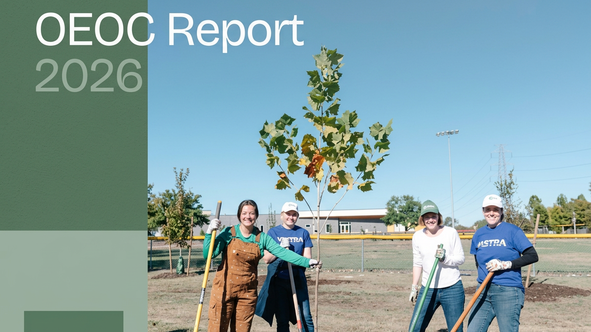 Four people planting a tree on a sunny day in a park or field, with a building, trees, and a light pole in the background.