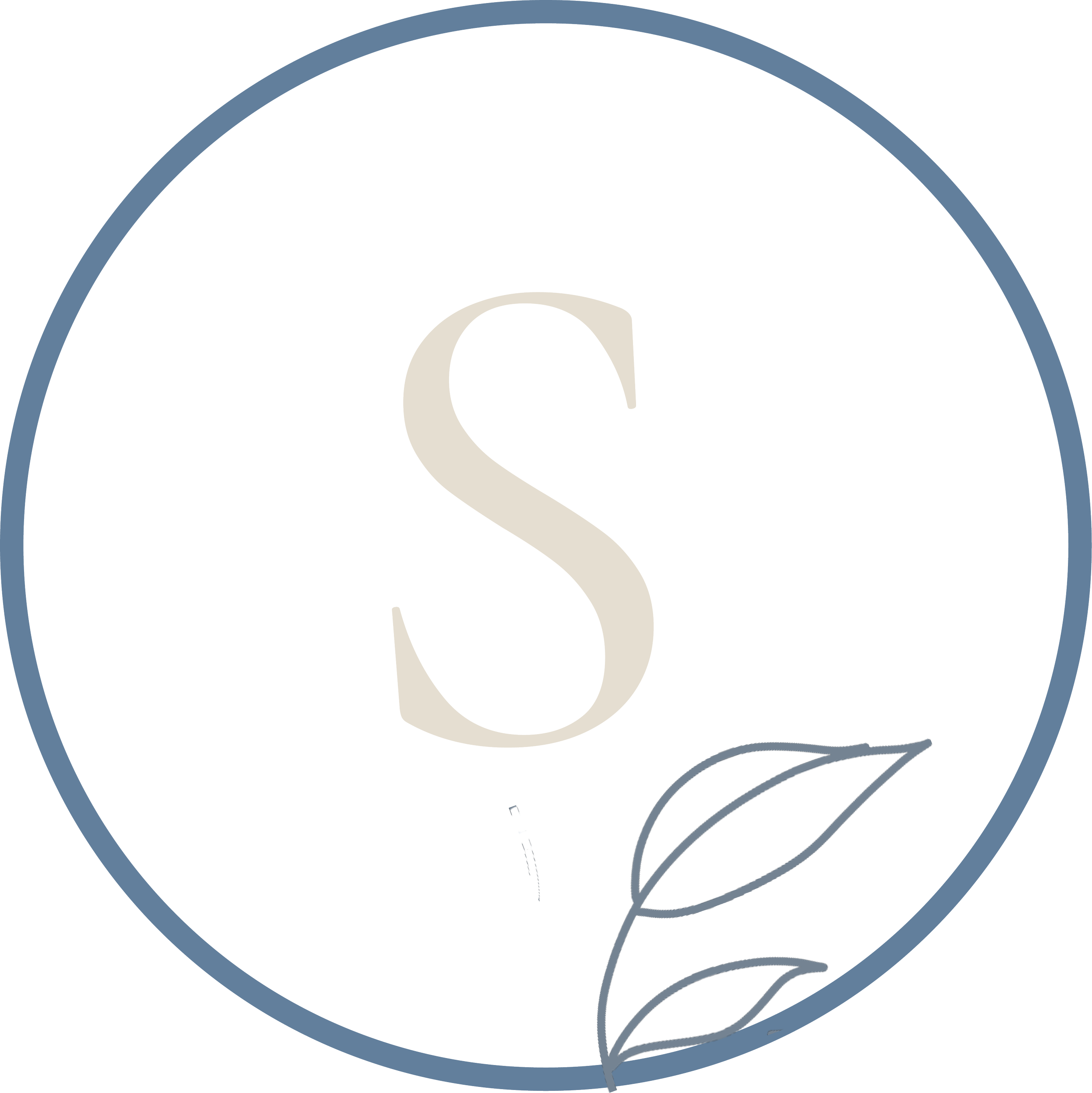 "S" icon representing the Soften step of the the REST Response