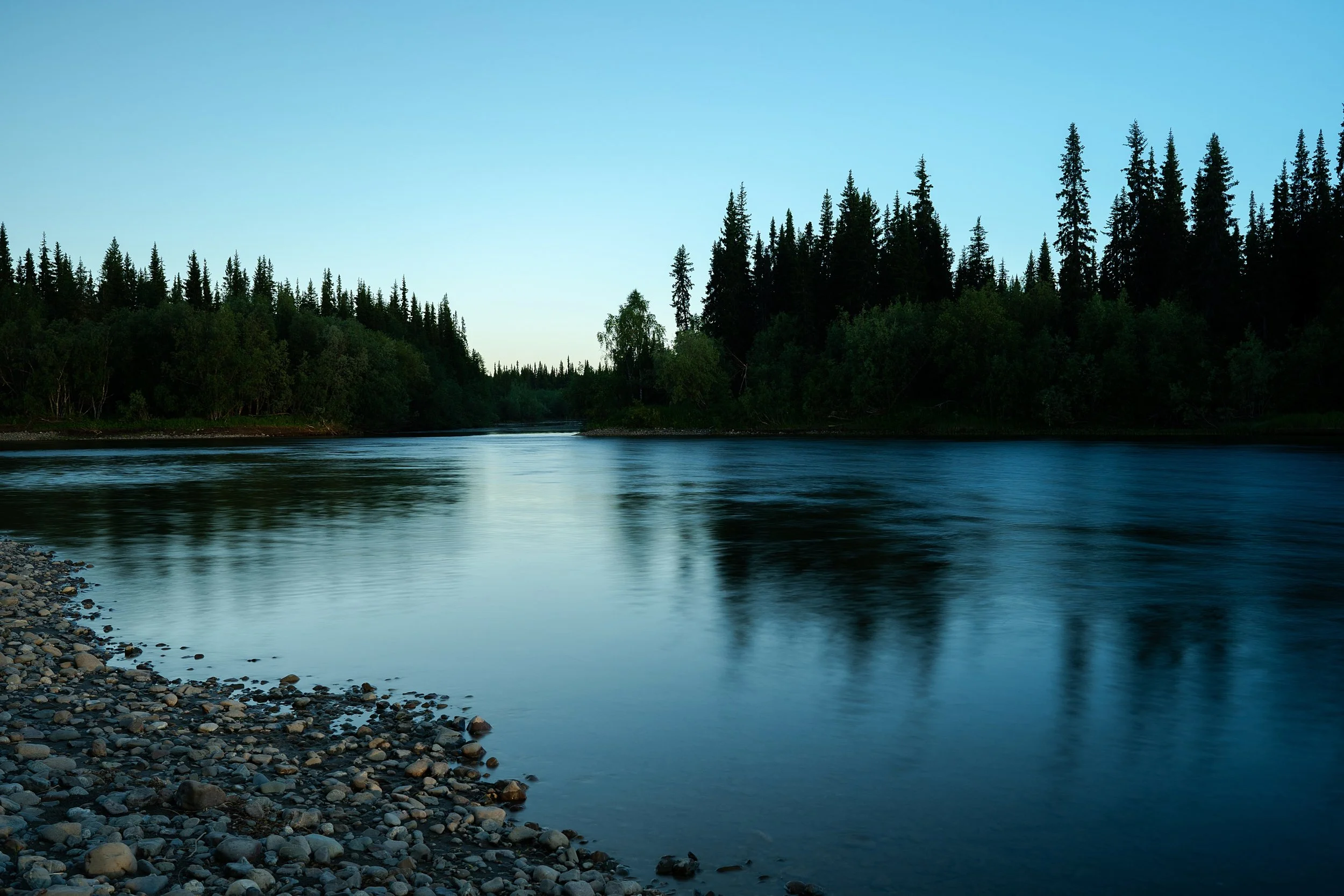 A calm river flowing through a forest with tall pine trees on both sides under a clear blue sky.