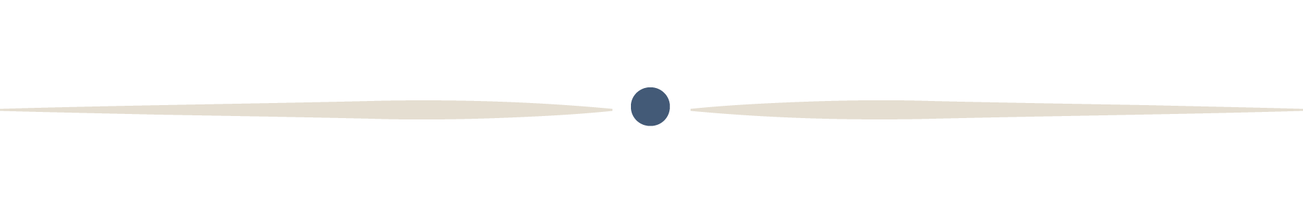 Graphical divider image with blue dot centered between two lines