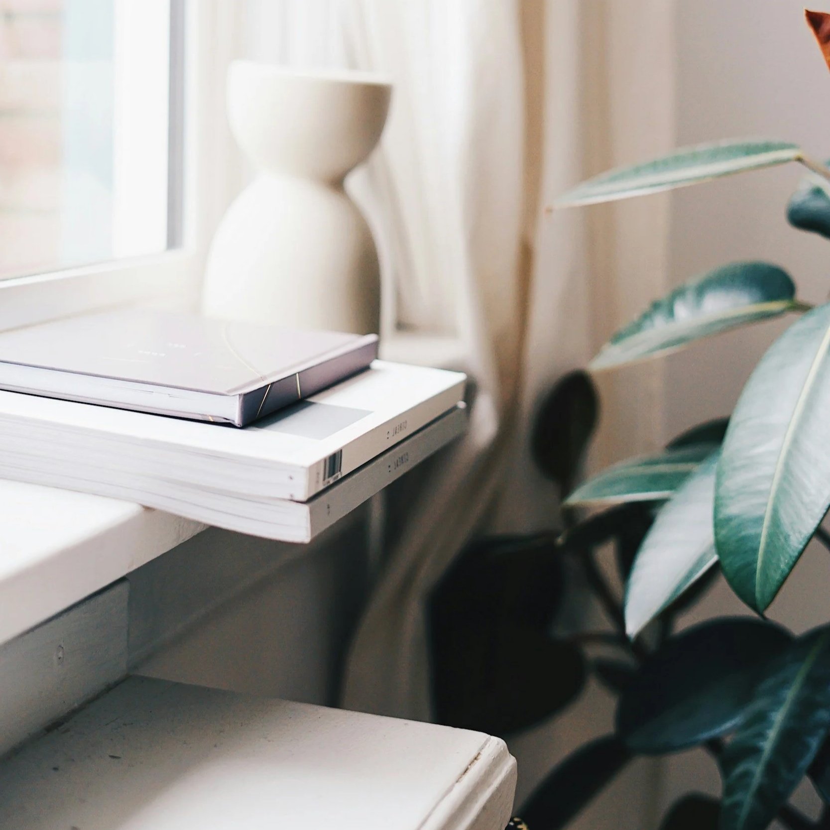 Close-up of a windowsill with stacked books, a white ceramic vase, and a large leafy plant nearby, with natural light coming through the window.