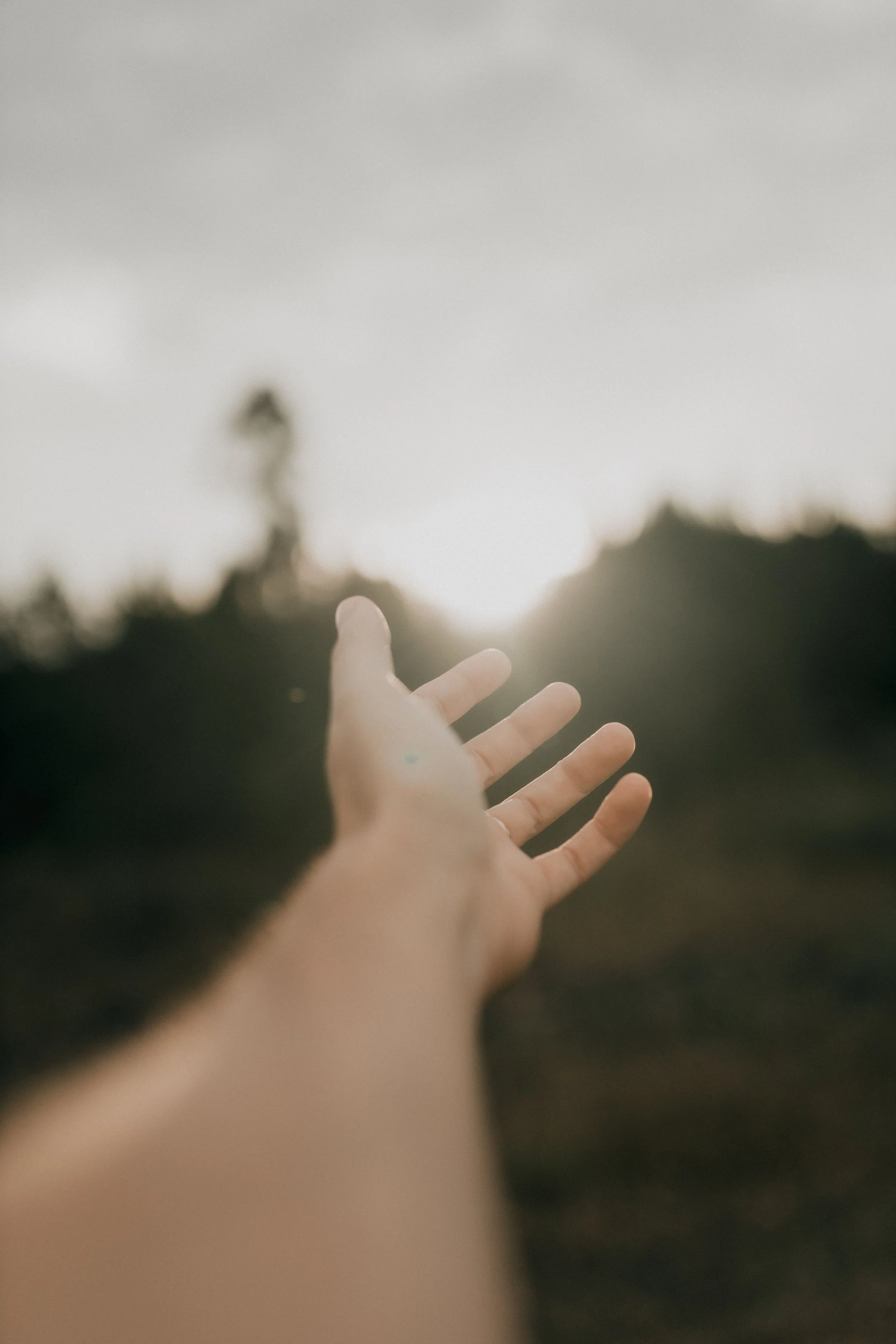 A person's outstretched hand reaching towards a sunset sky with blurred trees in the background.