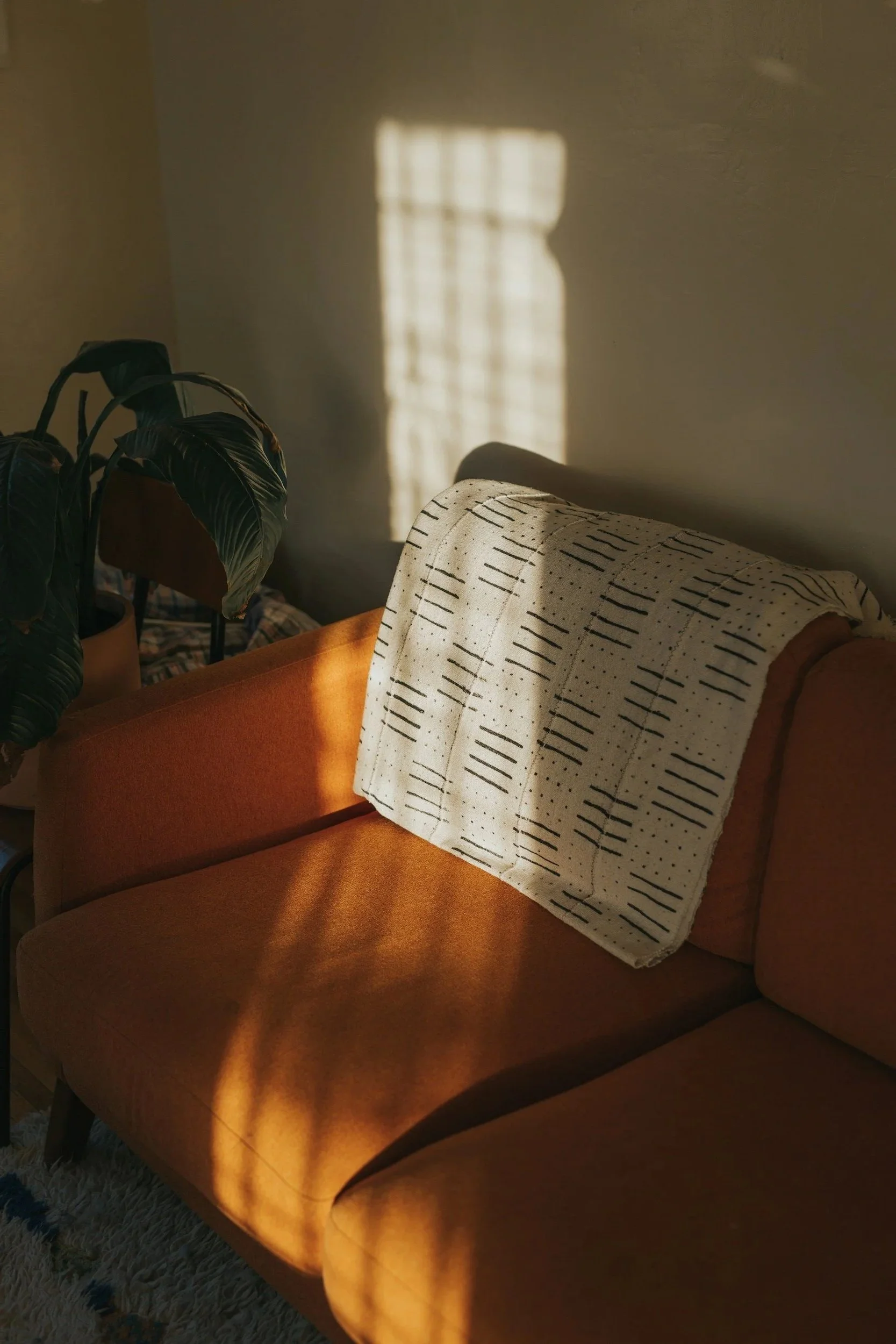 A cozy living room scene with a peach-colored sofa, a white pillow with black linear patterns, and a green houseplant. Sunlight streams through a window, casting a rectangular shadow on the wall.