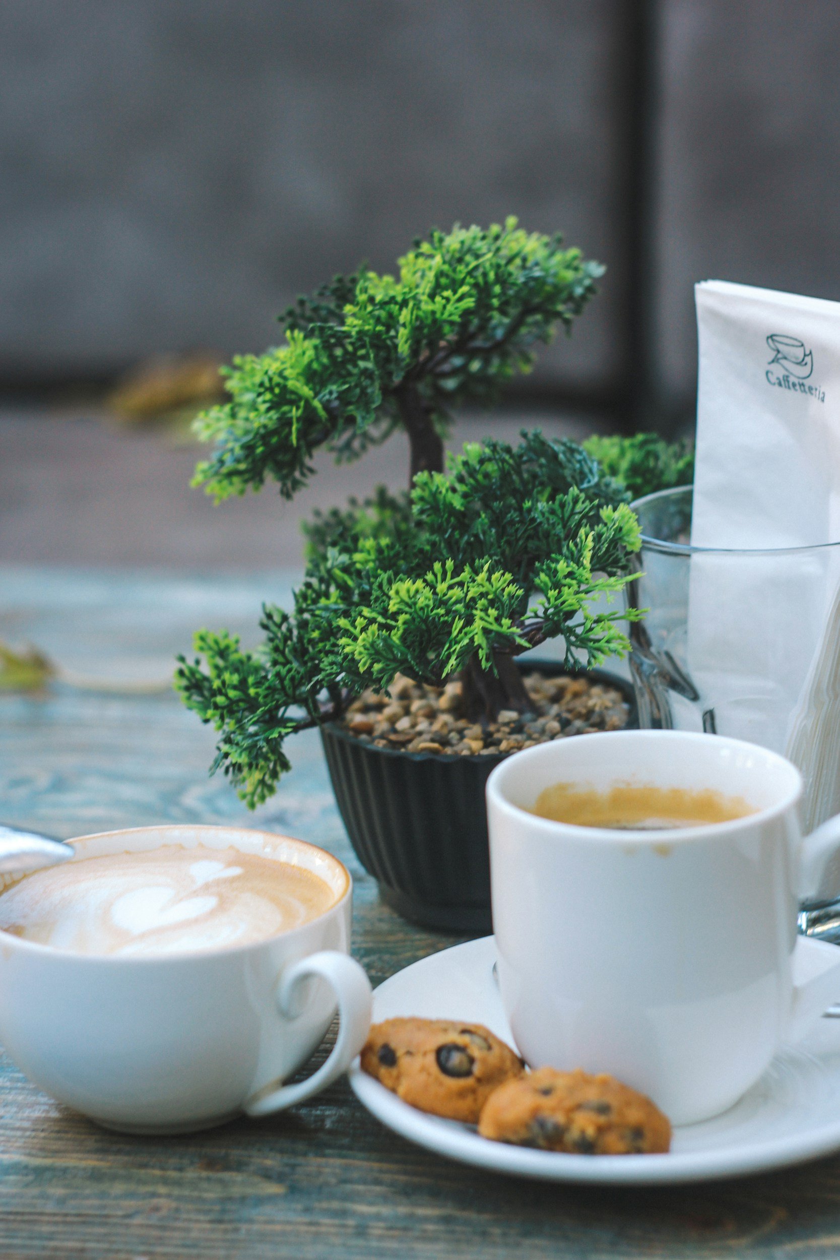 Two cups of coffee with foam art, a small plate with chocolate chip cookies, a potted plant, a bag labeled 'Cafeteria', and a glass of water on a wooden table.