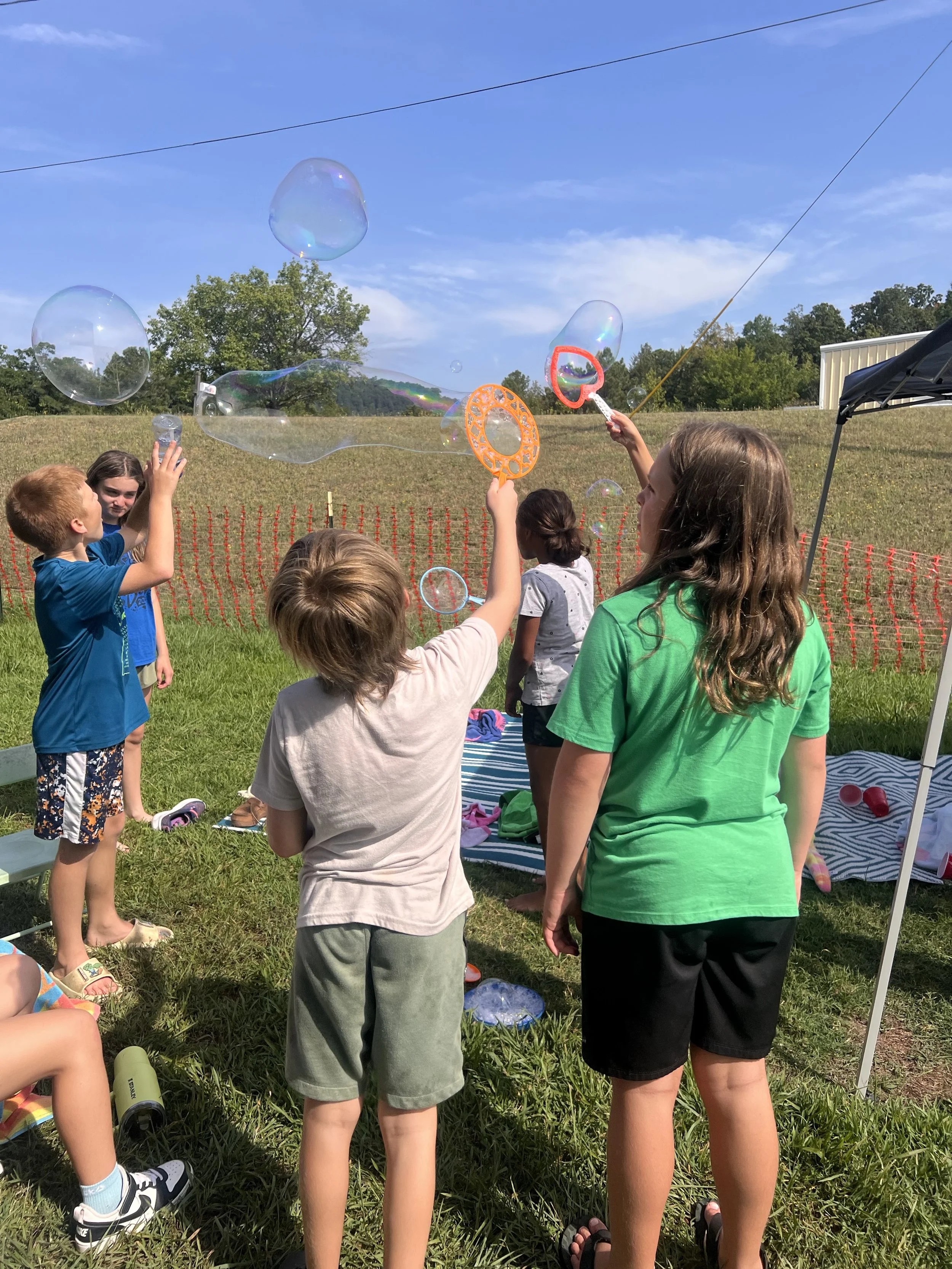 Children playing with bubbles outdoors on a sunny day, some children reaching out to touch the bubbles, with a grassy field, trees, and a clear blue sky in the background.