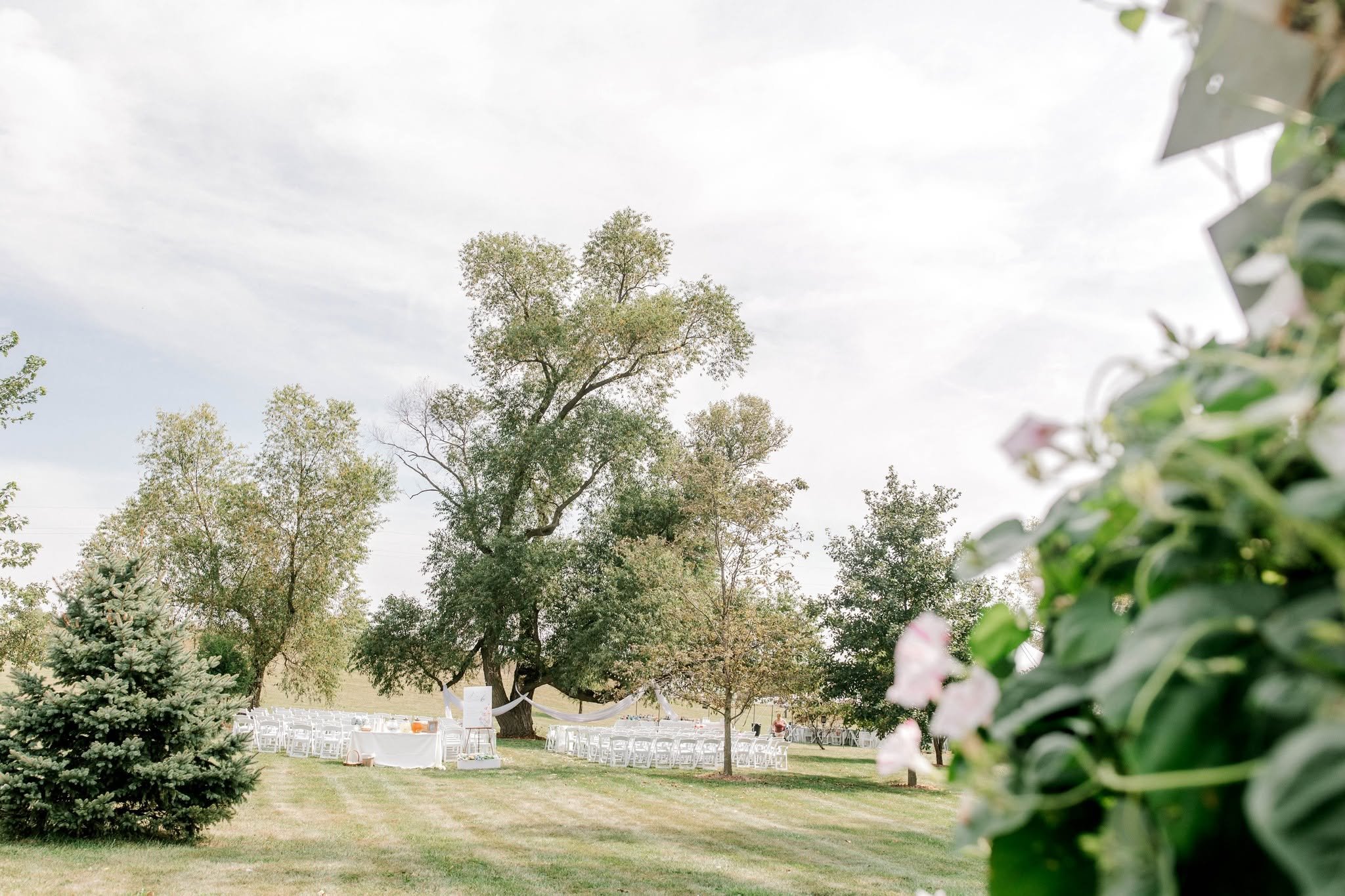 An outdoor wedding setup with white chairs arranged on a grassy lawn under a large tree, with tables and chairs decorated with white linens and pink accents, surrounded by greenery and flowering plants, on a cloudy day.
