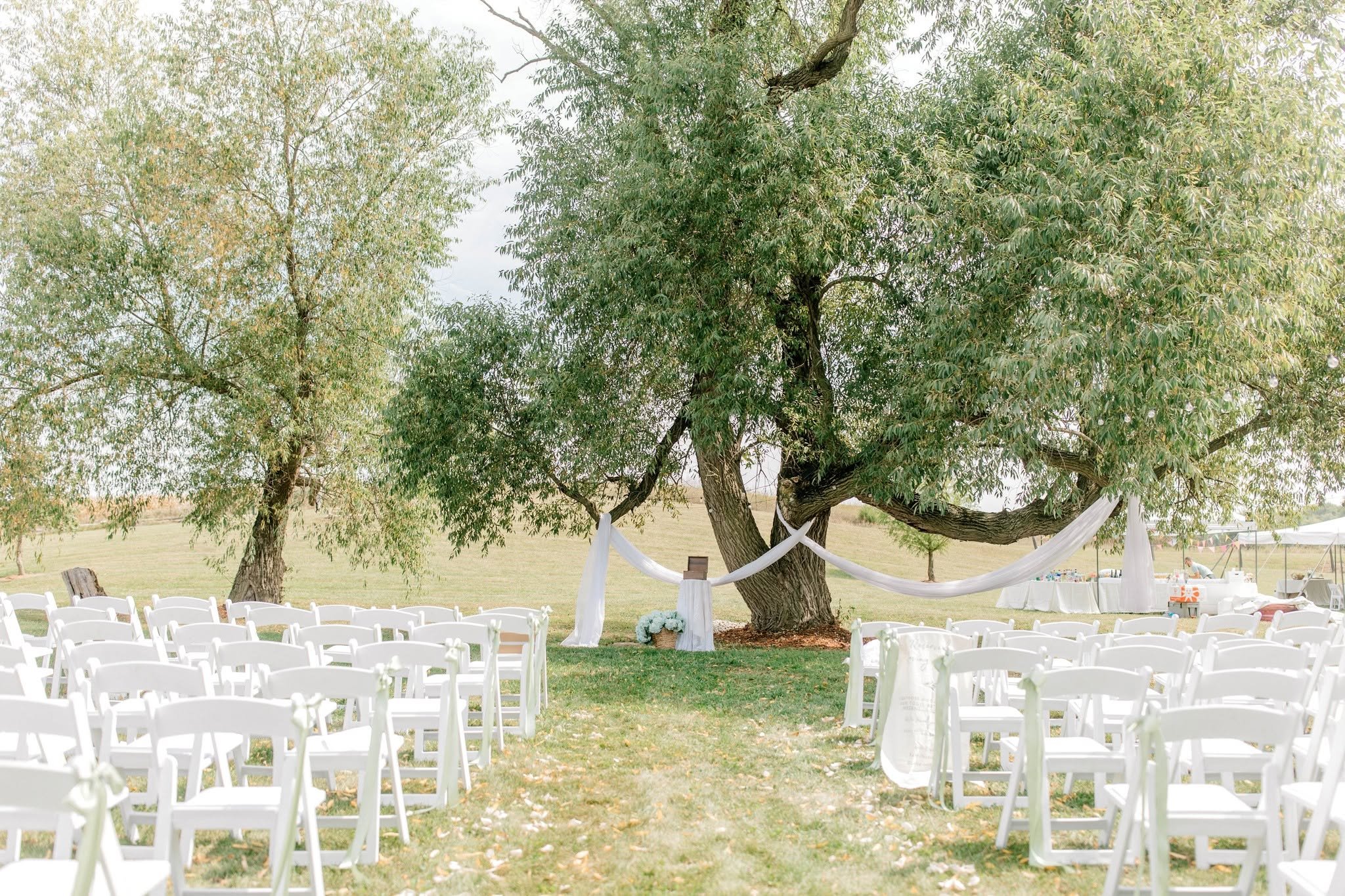 Outdoor wedding setup with white chairs arranged in rows on grass, large tree decorated with white drapery and floral arrangements serving as a backdrop, and a clear sky overhead.