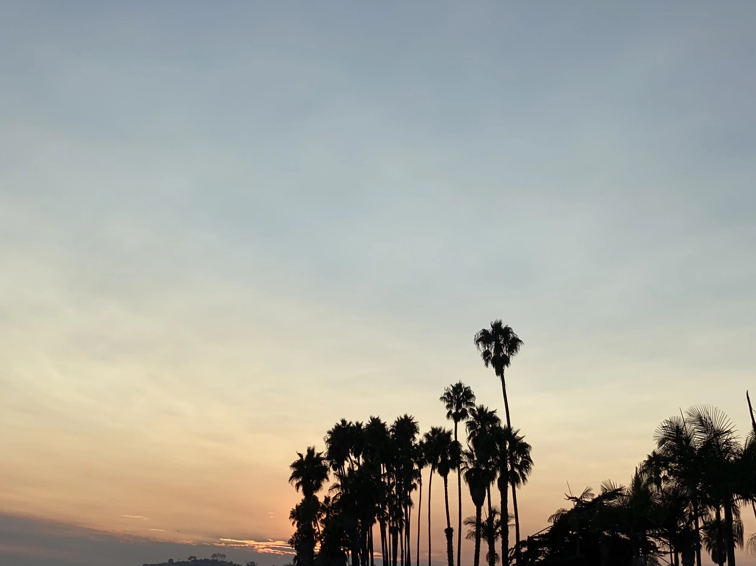 IMG_2027.jpeg