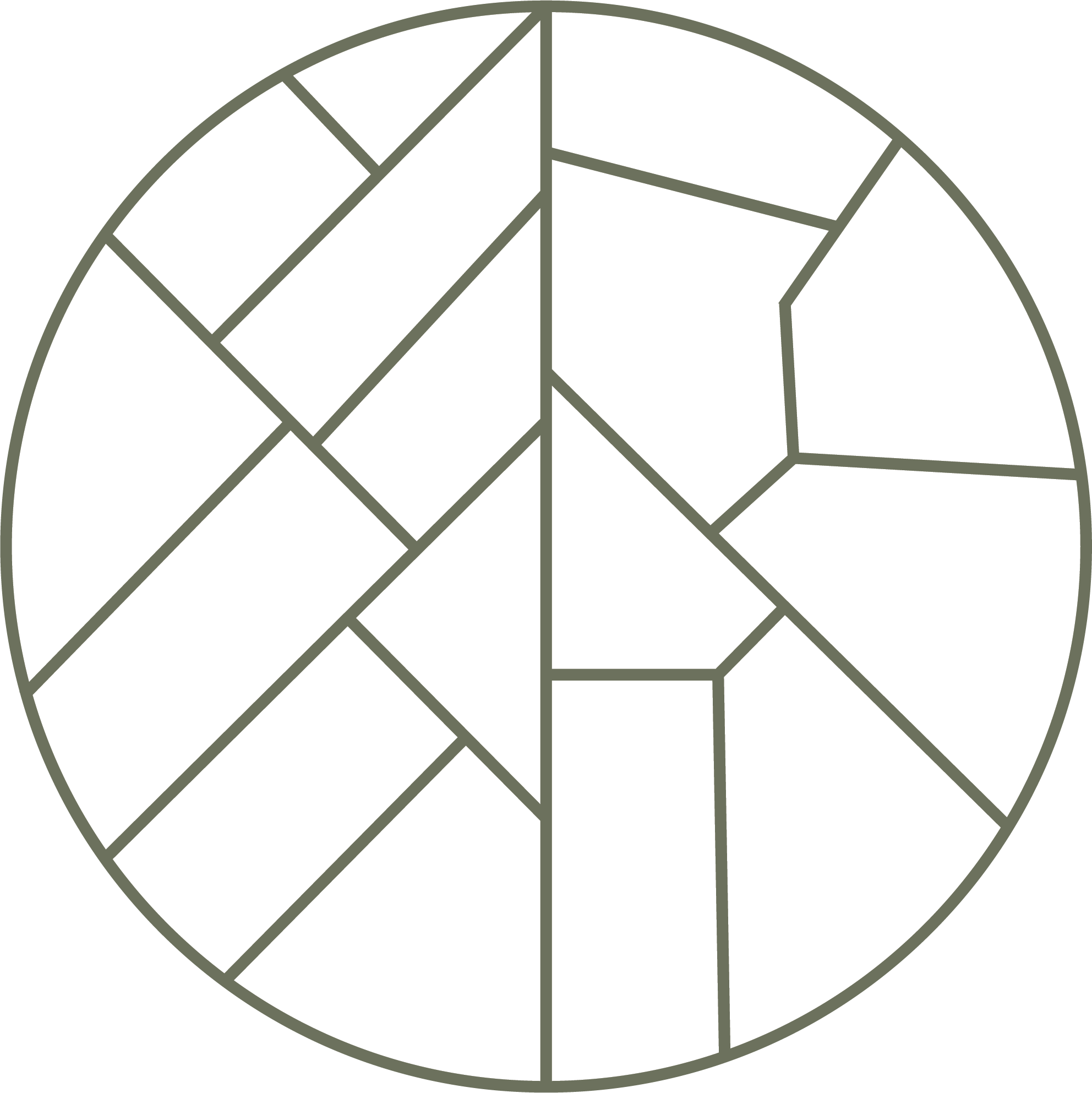 Sycamore Street Advisors  alternate logo  close-up of a circular pie chart representing land and street property lines.
