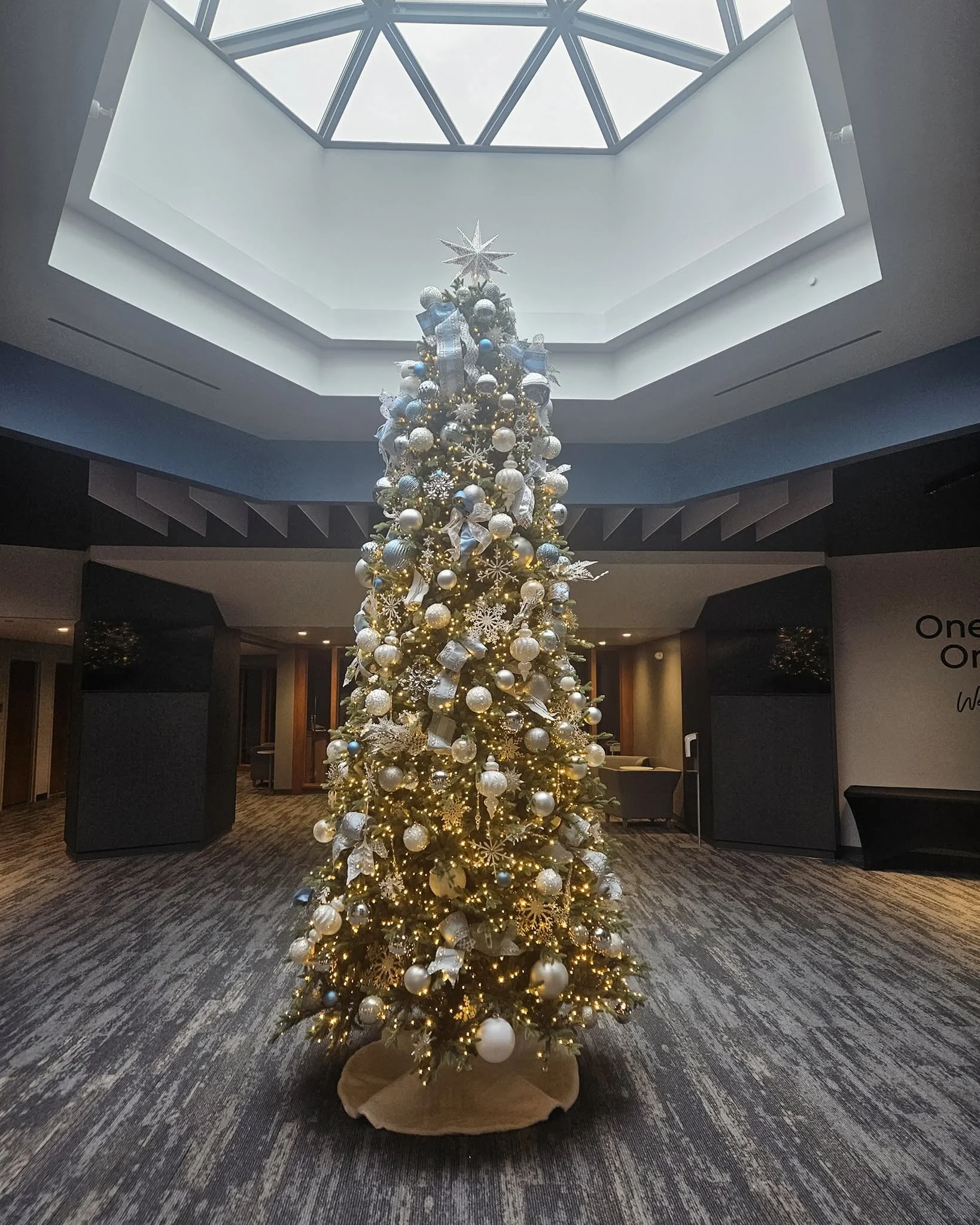 A decorated Christmas tree with white and silver ornaments, ribbons, snowflakes, and a star topper in a spacious, modern indoor setting with a glass ceiling.
