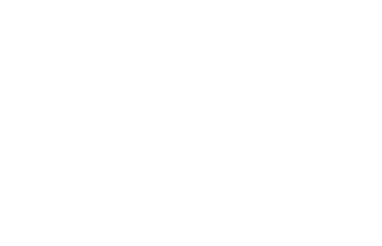 DAZZLING DECOR OF IOWA