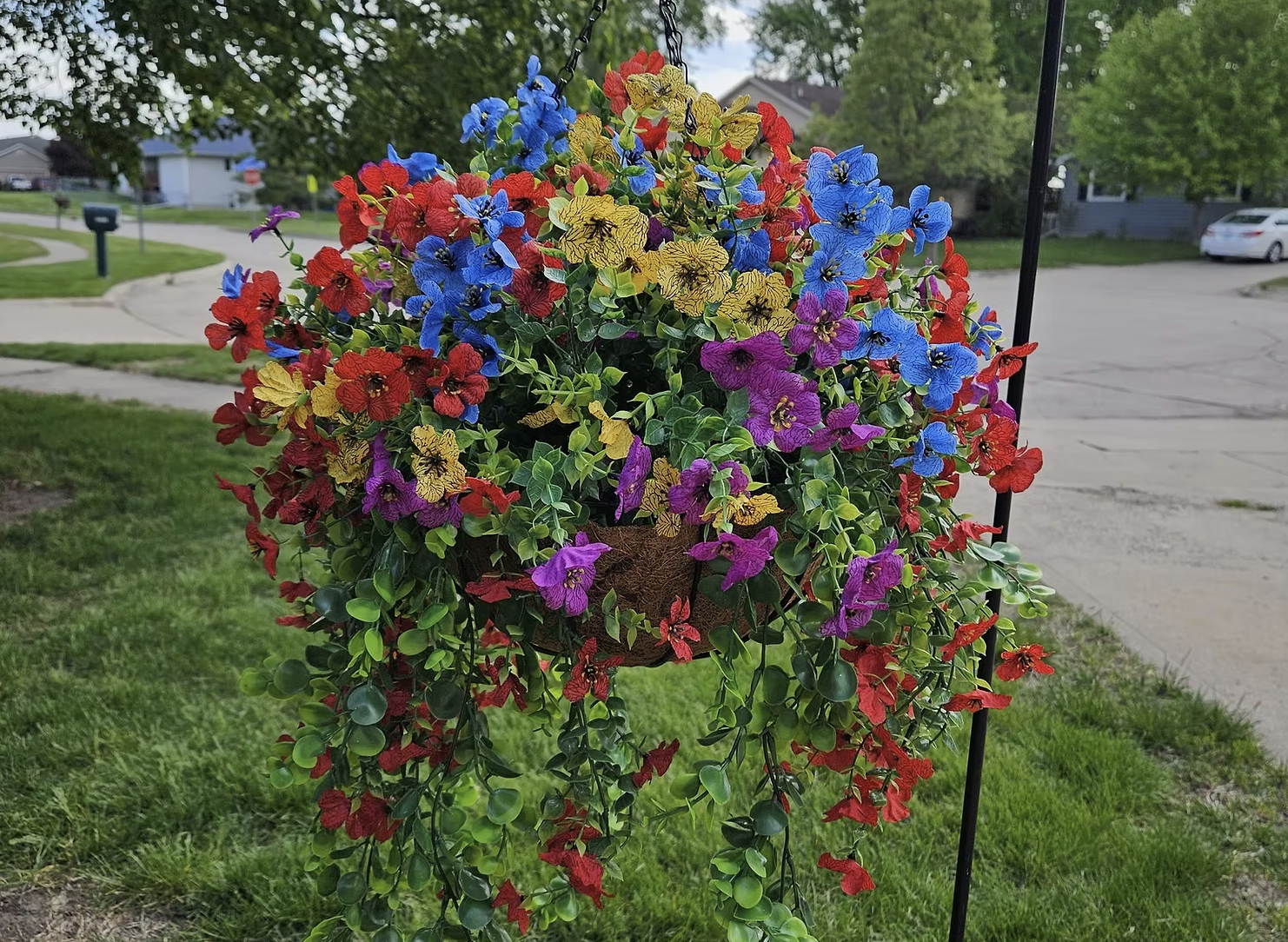 Colorful hanging flower basket with red, yellow, blue, purple, and pink flowers, set against a background of a suburban yard and street.