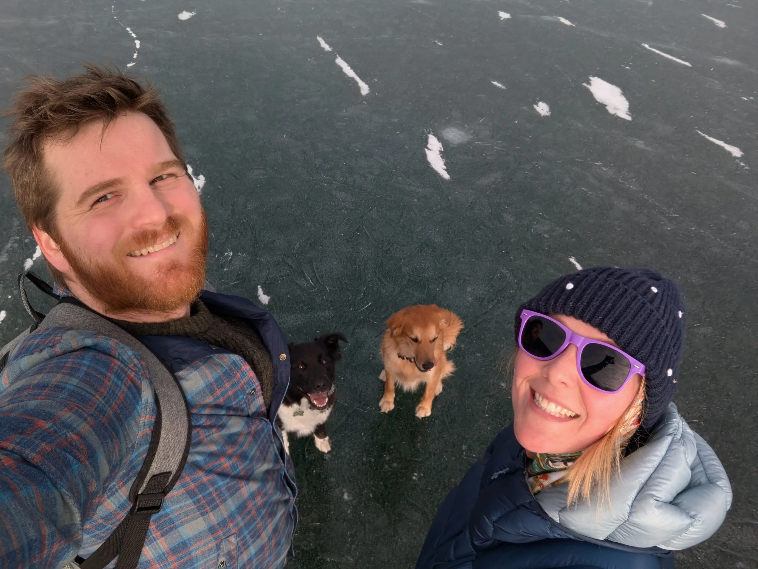 A smiling man with a beard and a woman with red hair wearing sunglasses, both outdoors on an icy surface with two puppies, one black and white and one golden, between them.