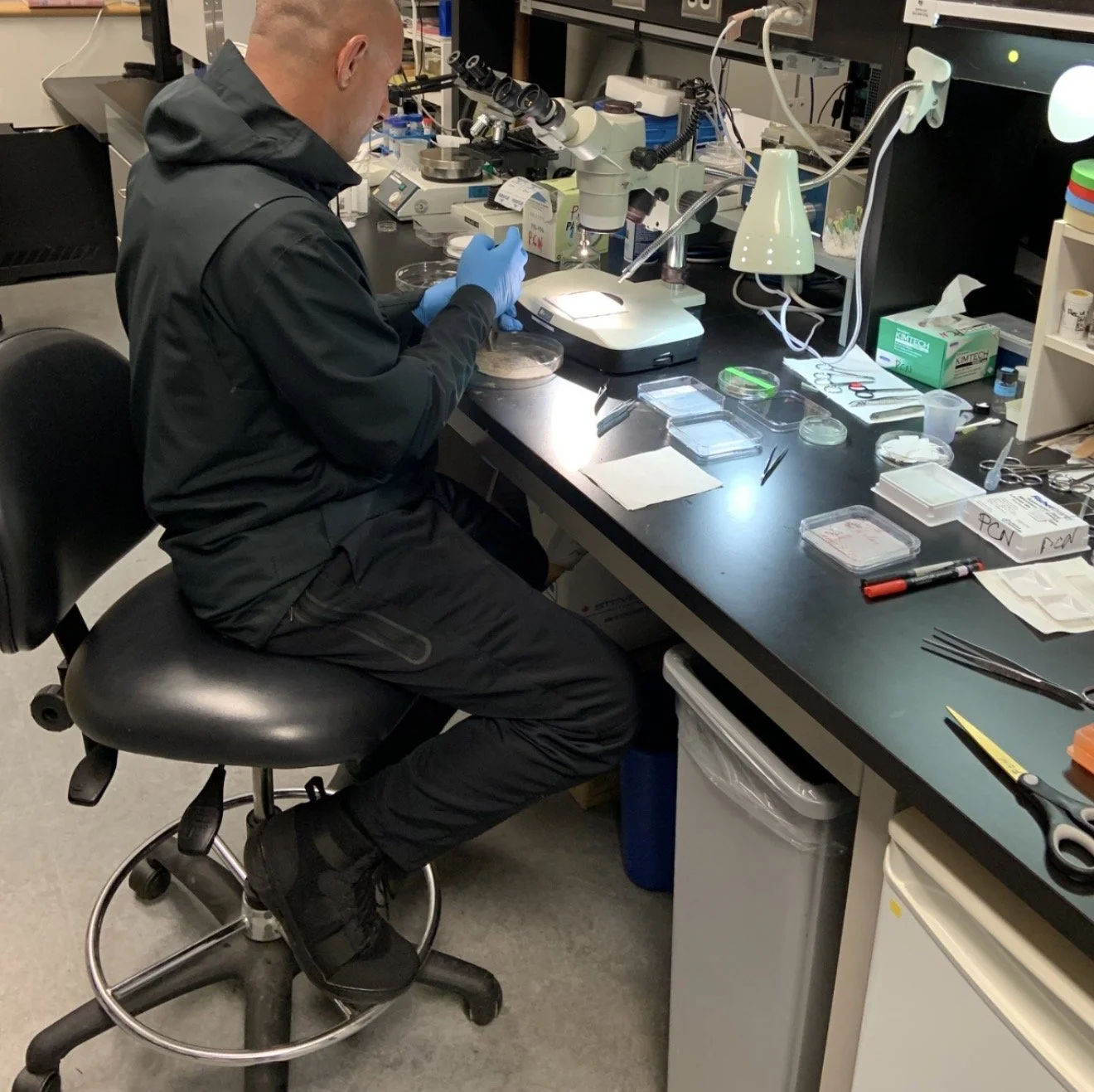 A scientist in a black lab coat and gloves working at a laboratory bench with scientific equipment, including a microscope, petri dishes, and various tools. The workspace is cluttered with lab supplies and notes.