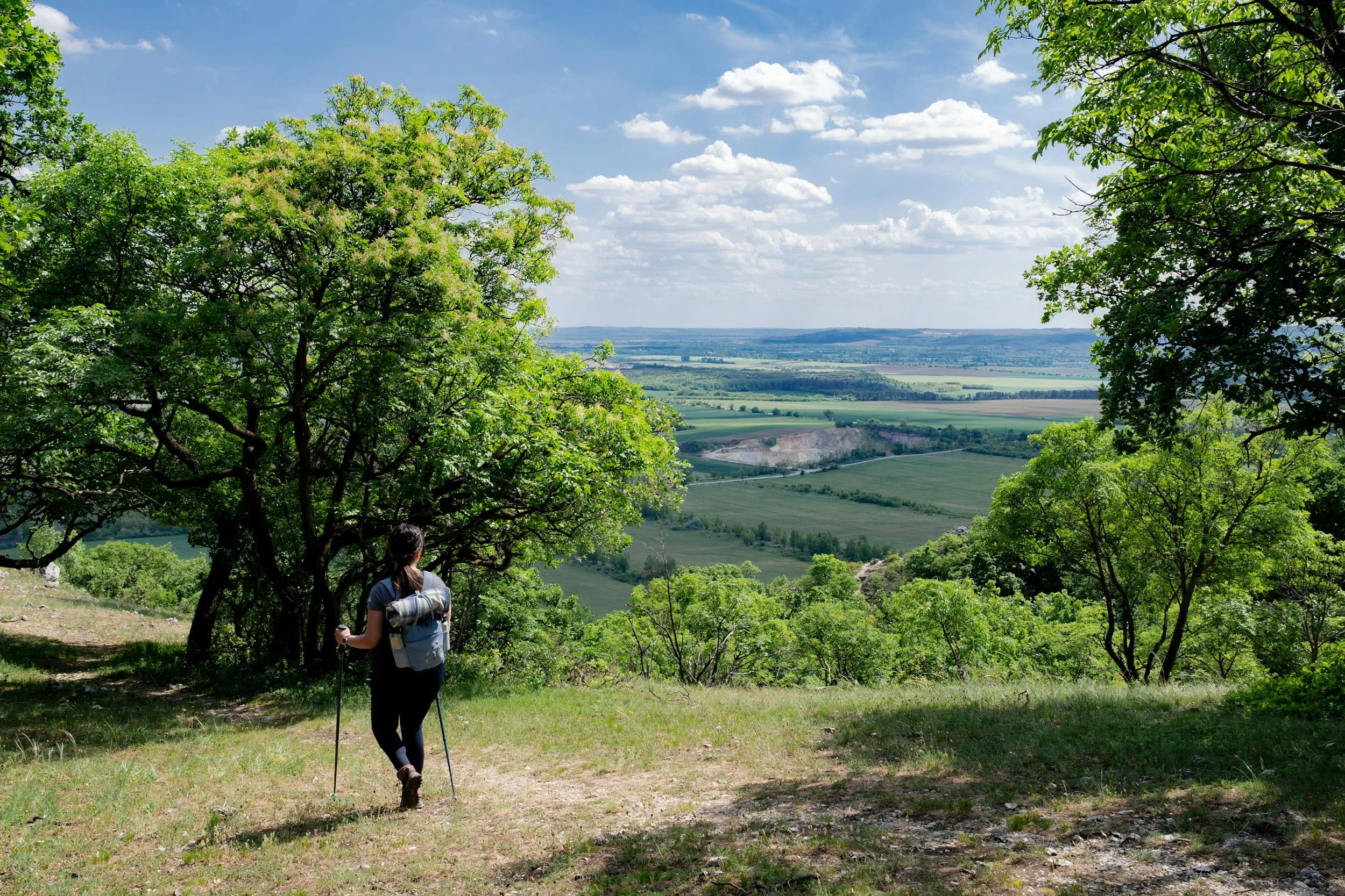 A person with a backpack and walking sticks hiking on a trail through a green, lush forest overlooking a scenic valley with fields and rolling hills under a partly cloudy sky.
