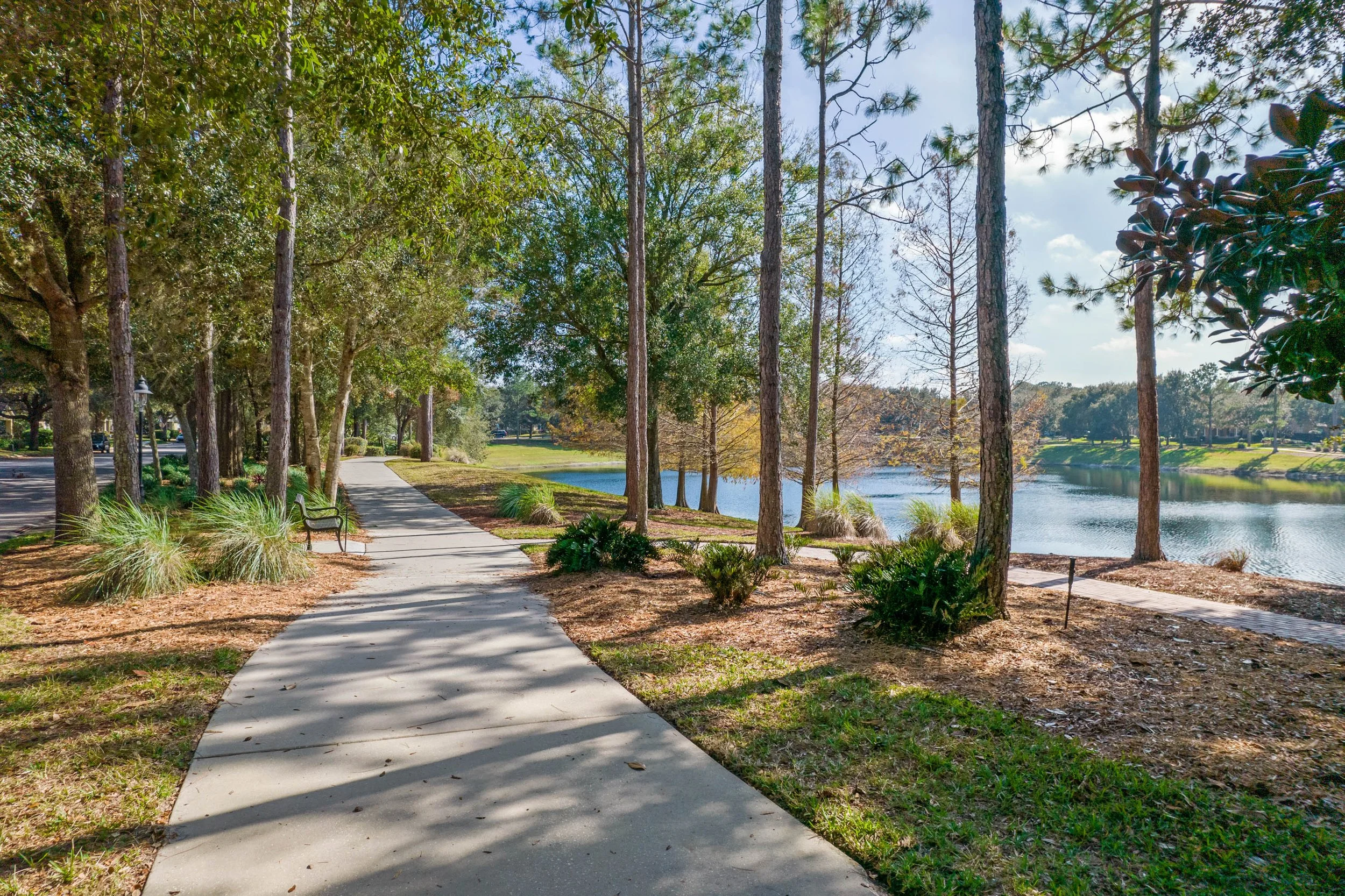 A paved walkway in a park alongside a lake, surrounded by trees with one bench on the side, and a mix of green and autumn-colored foliage under a bright blue sky.