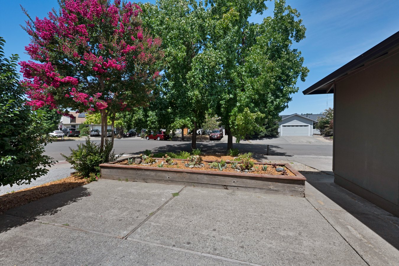 A residential neighborhood street with a small brick planter containing plants, a sidewalk, and trees with green and pink foliage under a blue sky.