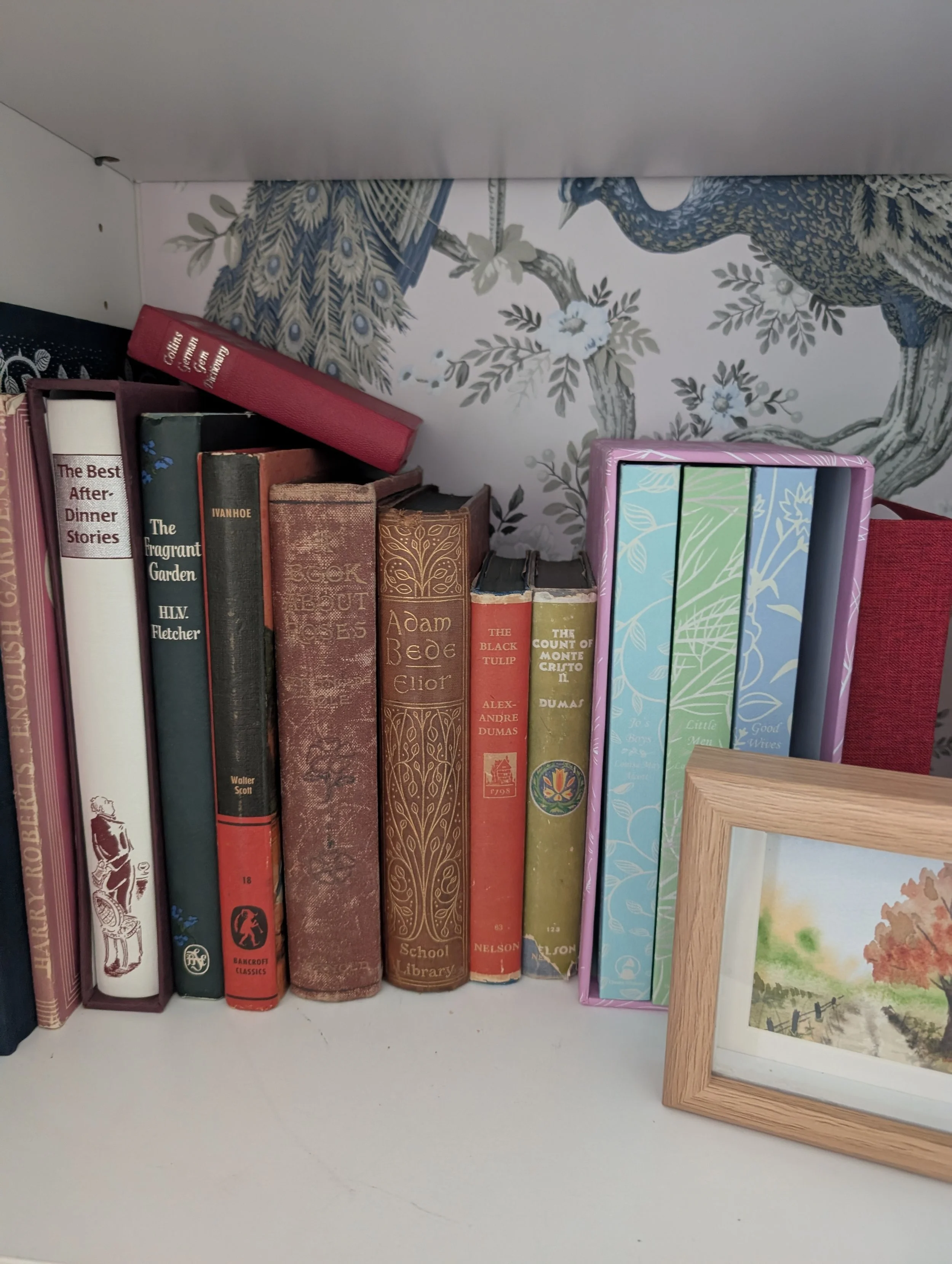A bookshelf with a row of books, some with decorative bindings, and a framed picture on the right.