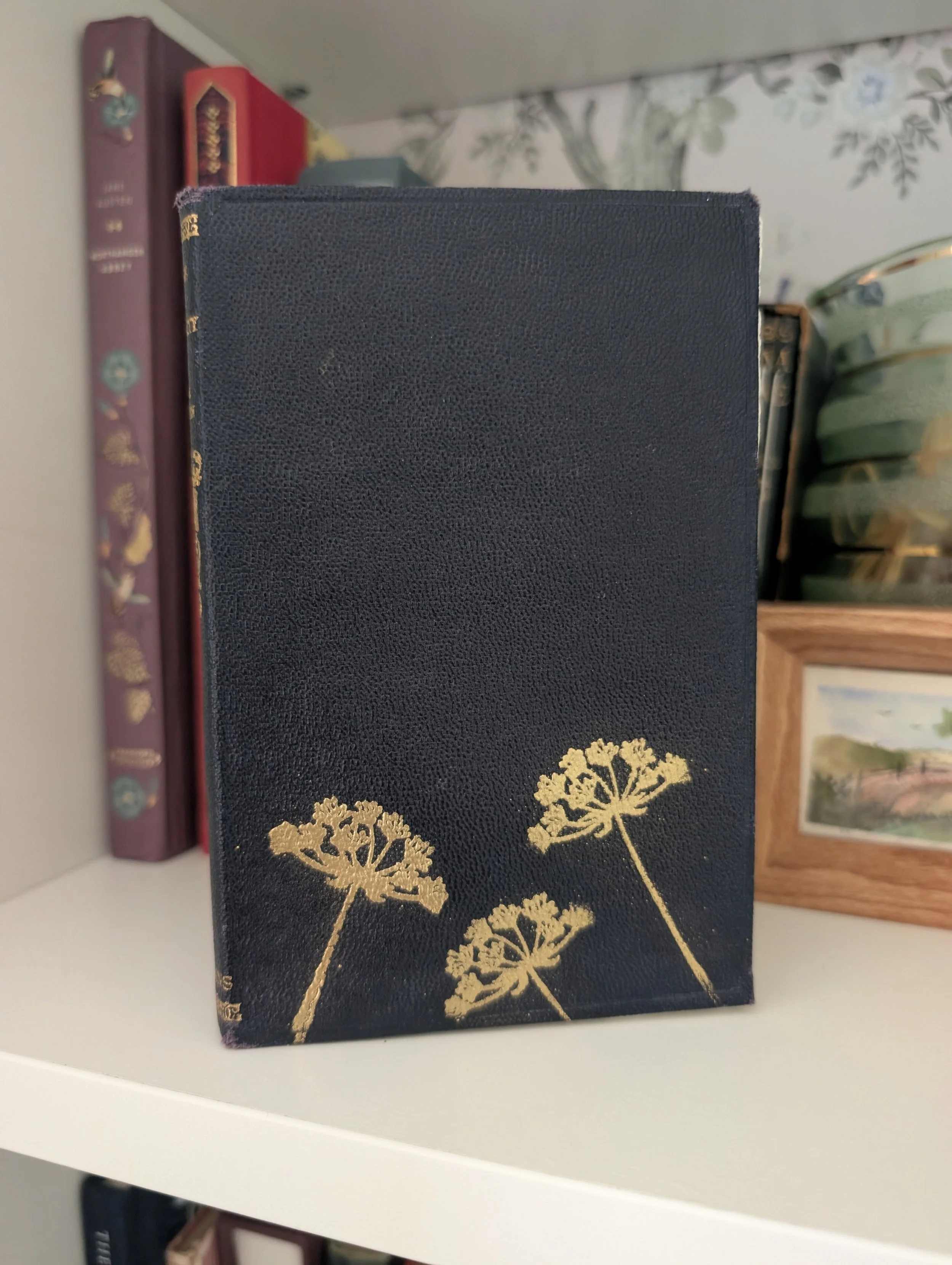 Sense and Sensibiliy