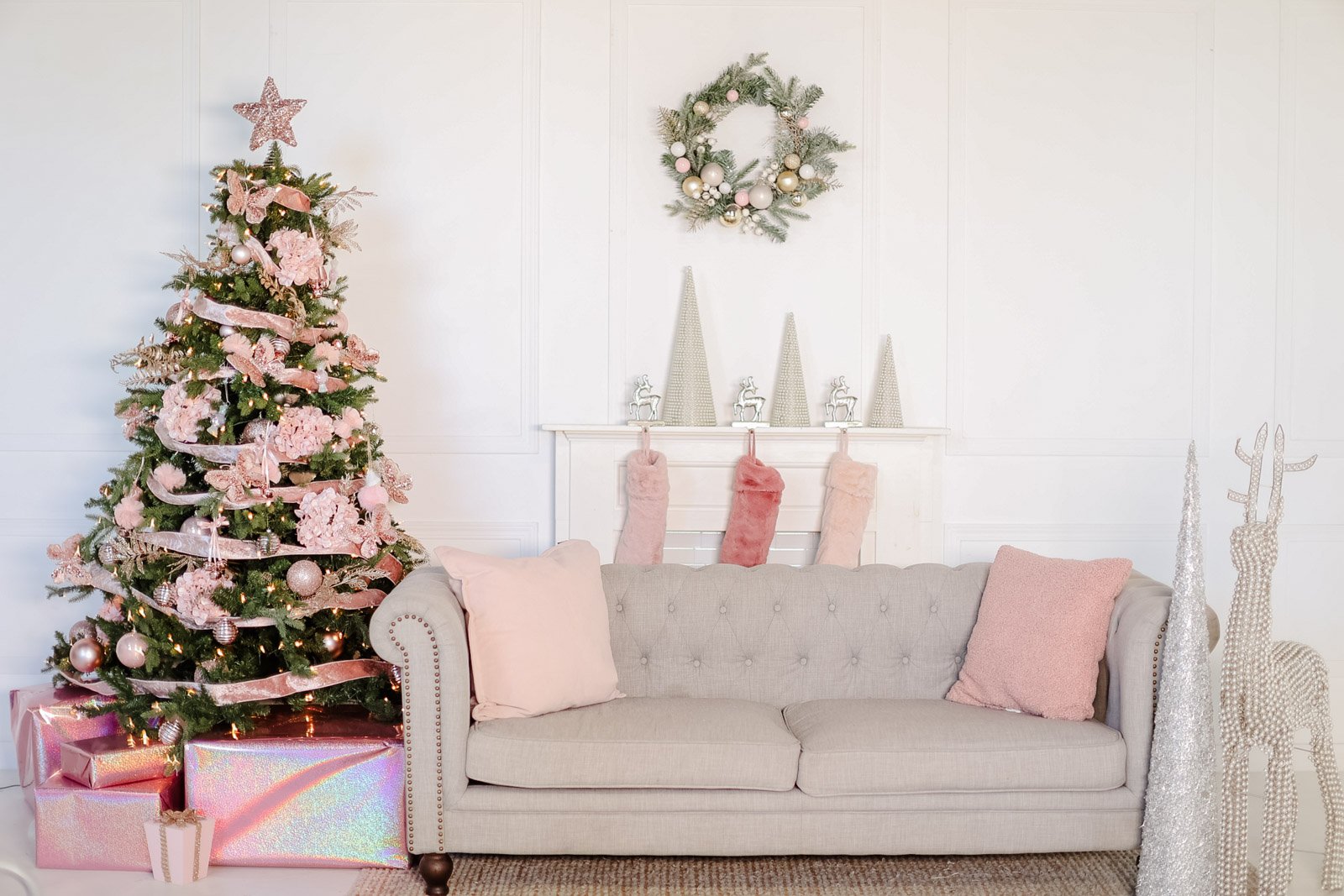 Ever Green Christmas Trees