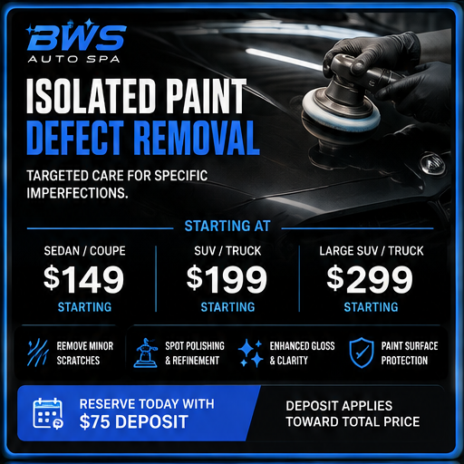 BWS_Isolated_Paint_Defect_Removal_Hero.png
