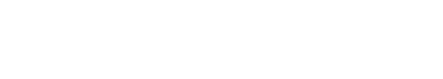Strategy Horizon Press