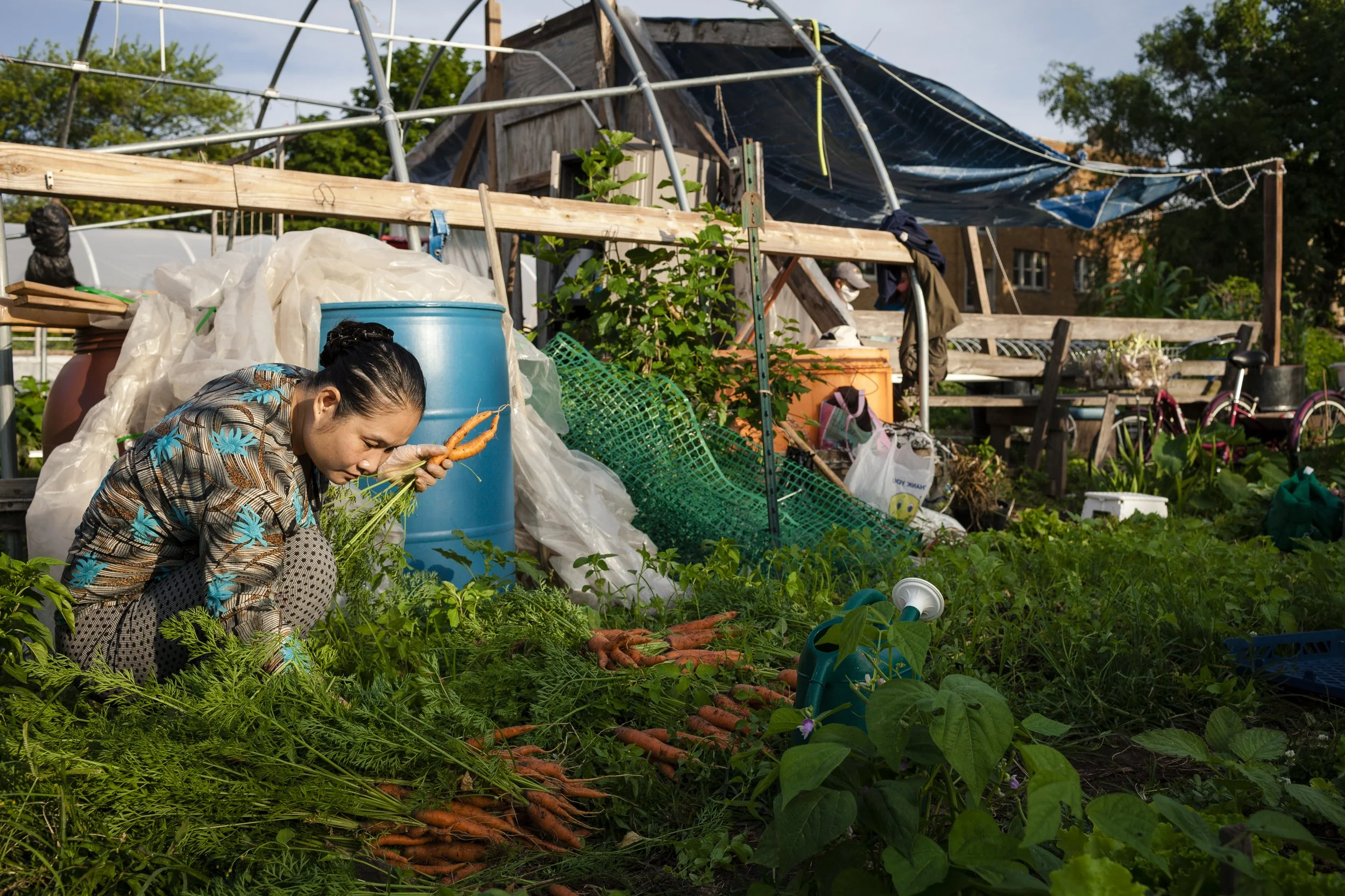 071820_GlobalGardenFarm-2.jpg