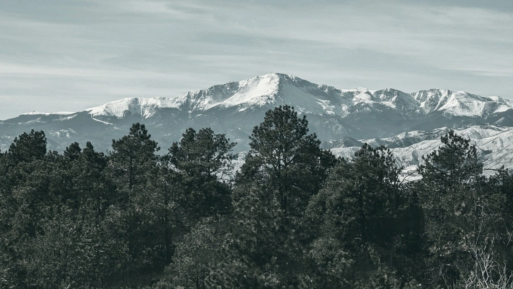 Snow-capped mountains in the distance with a forest of pine trees in the foreground under a cloudy sky.