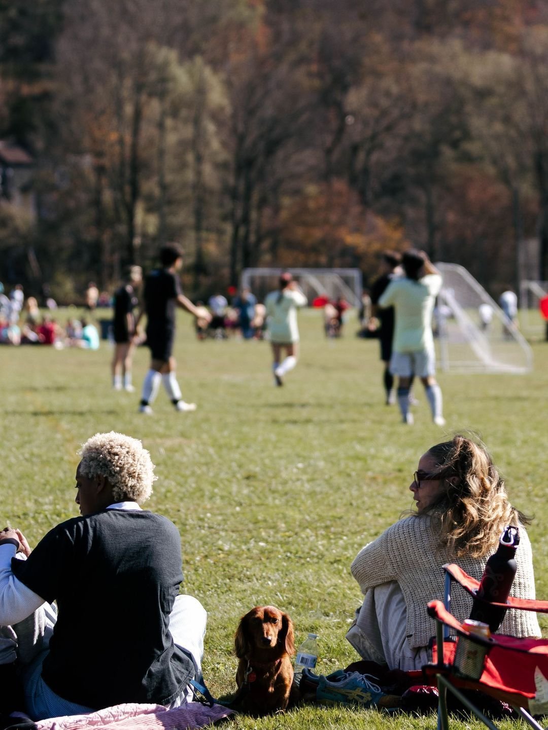 Four legs, so much energy, and zero red cards. The real MVPs of Footy Fest Catskills, the dogs 🐕⚽️⛰️ 

Who else is bringing their furry friends to the Catskills this year?! 🐾 Don't miss out on giving your pup the BEST WEEKEND EVER!!

Only a few gro