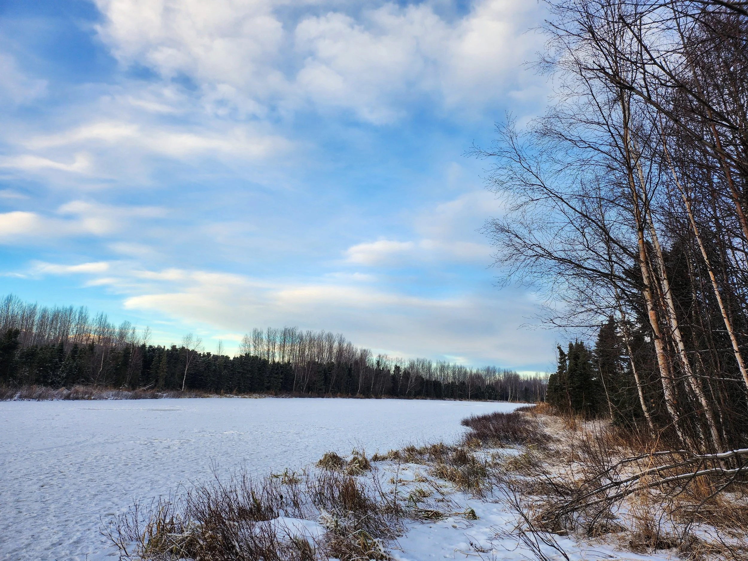 Snow-covered field with a line of trees in the background, mostly bare trees on the right side, and partly cloudy sky overhead.