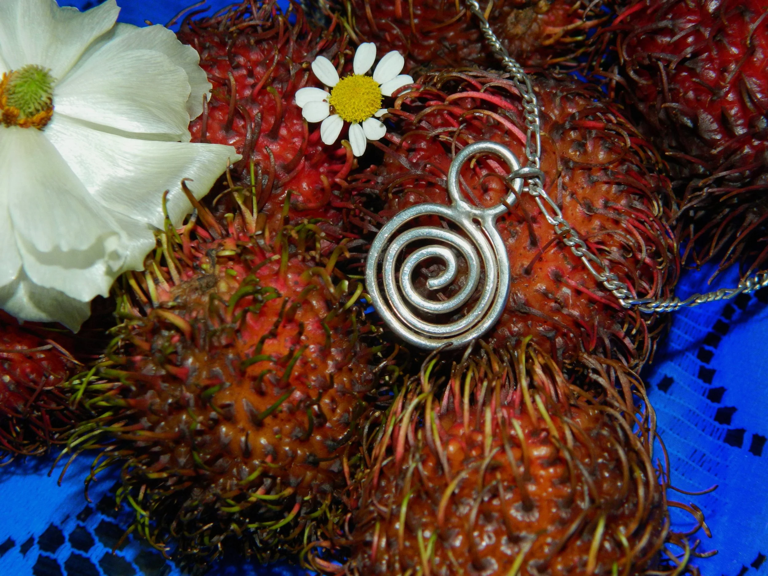 A silver spiral-shaped necklace with a chain, placed on a red spiny fruit or flower. There is a white flower with a yellow center on the fruit, and a large white petal on the left side of the image. The background is blue.
