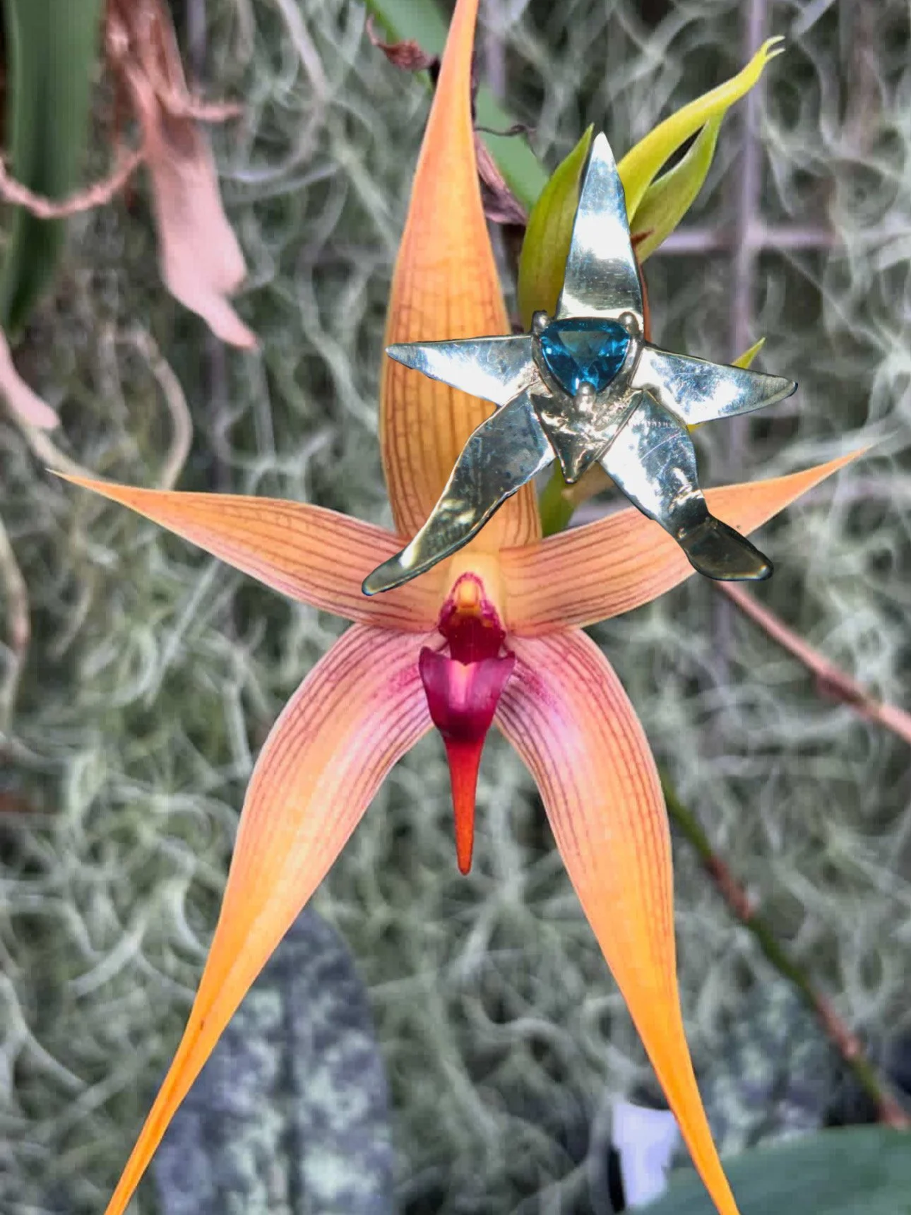 A decorative silver star-shaped ornament with a blue gemstone in the center, placed atop a pink and orange tropical flower with elongated petals, against a background of green and grey foliage.