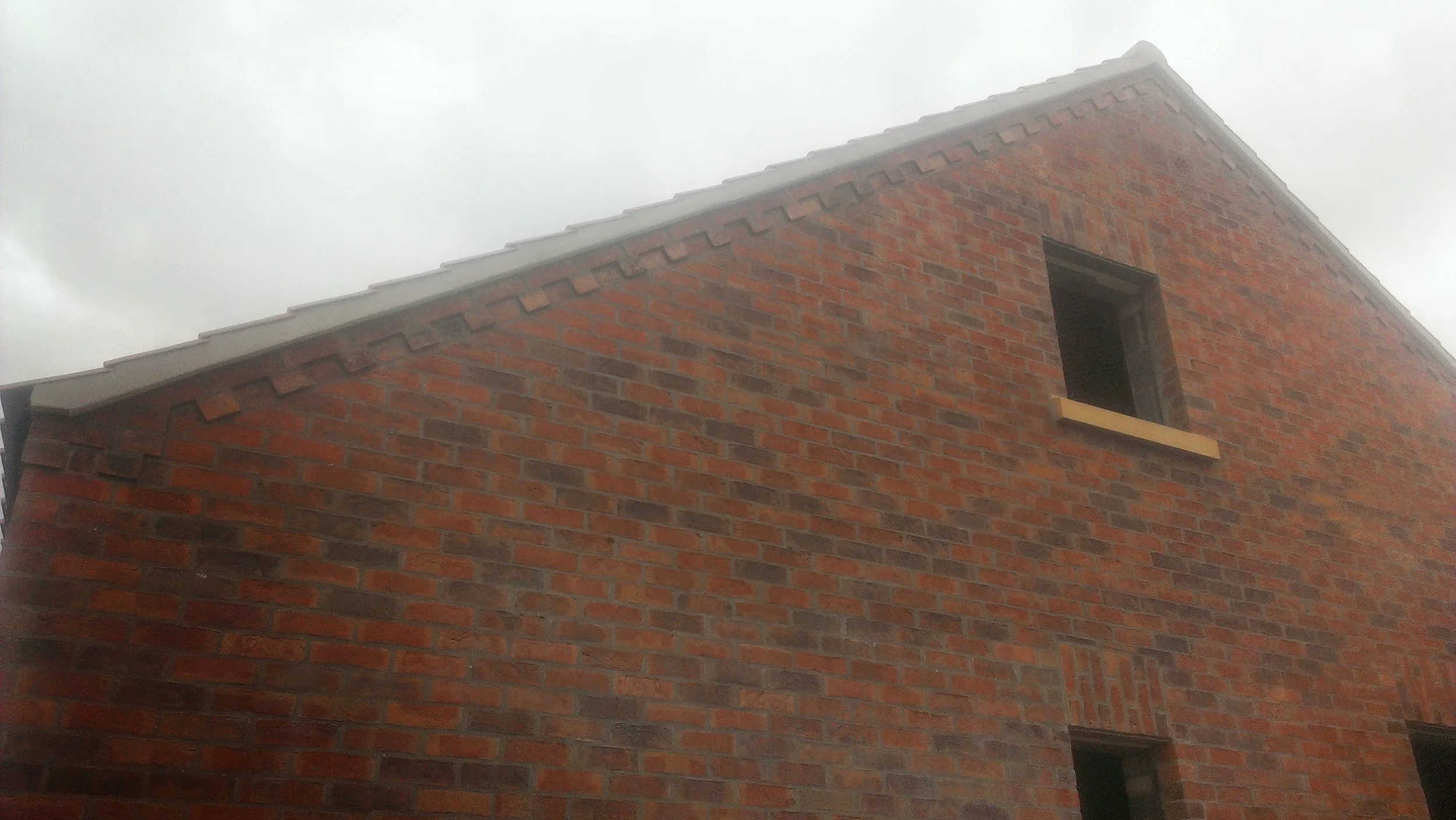 IMAG0603.jpg