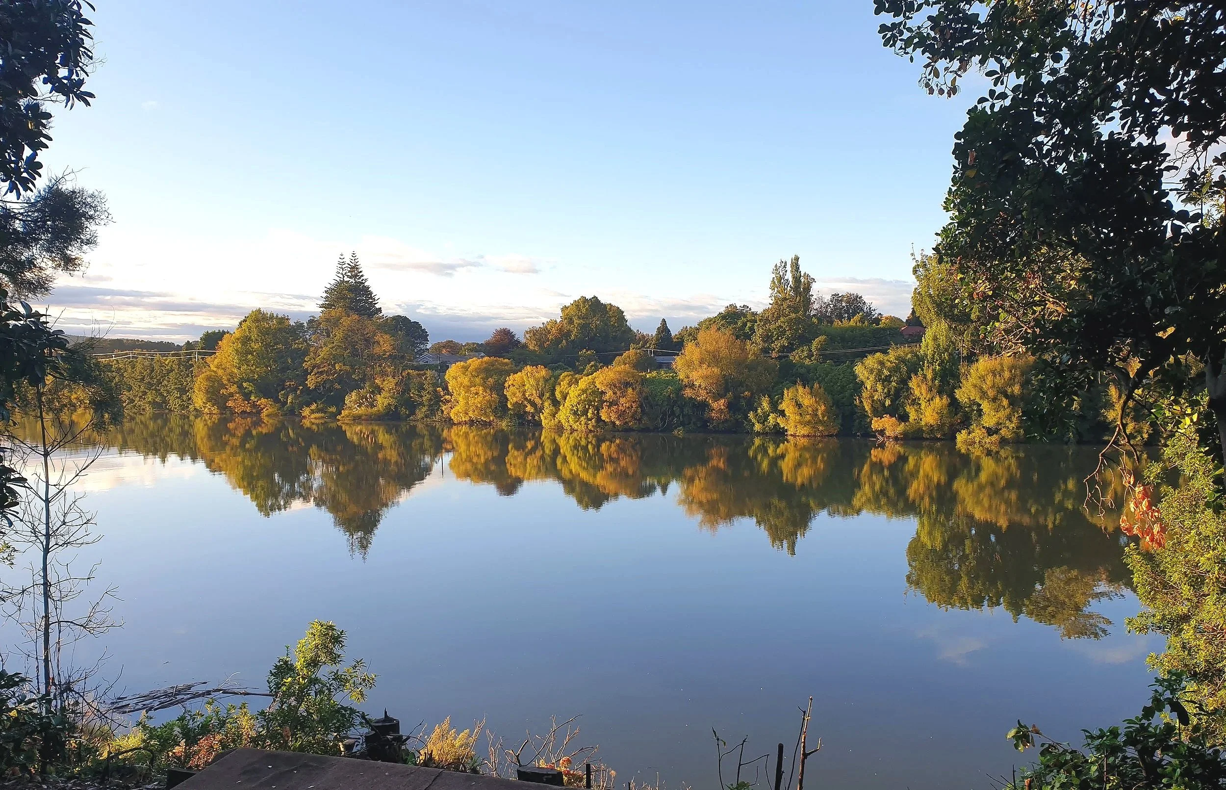River View 1