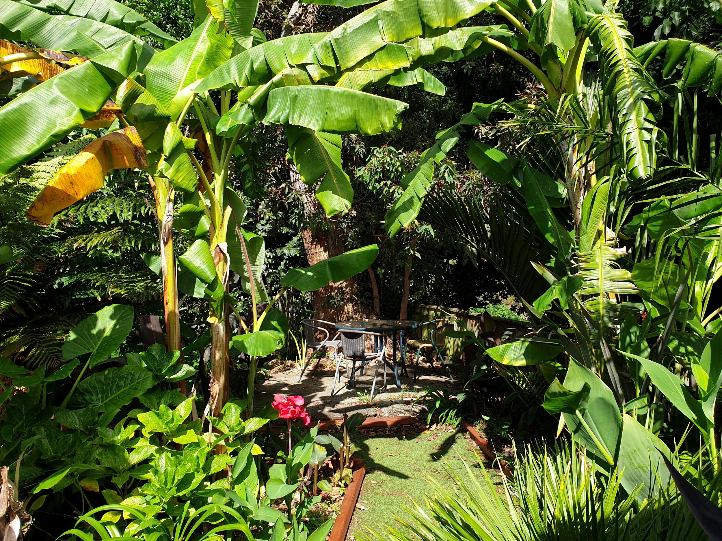 Garden 1