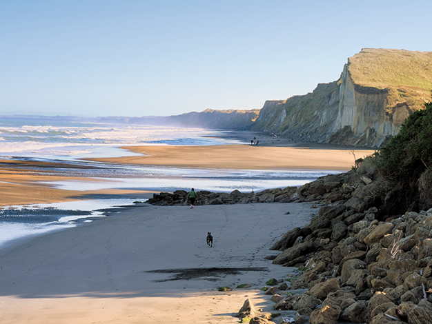 Beach with rocky cliffs, sandy shoreline, waves, and people walking dogs
