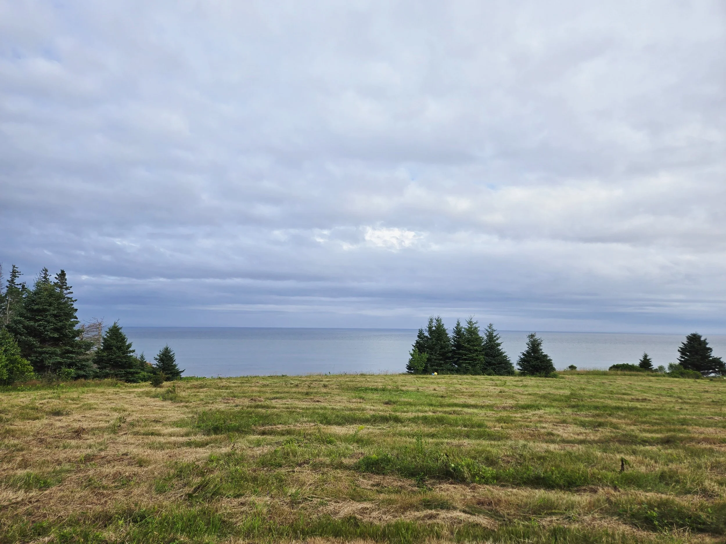 An initial site visit in Prince Edward Island. Long before any plans are drawn, the land reveals itself: rolling hills, red cliffs, a secluded beach, and views of the Northumberland Strait that pull your eye the moment you step out.

This area of the