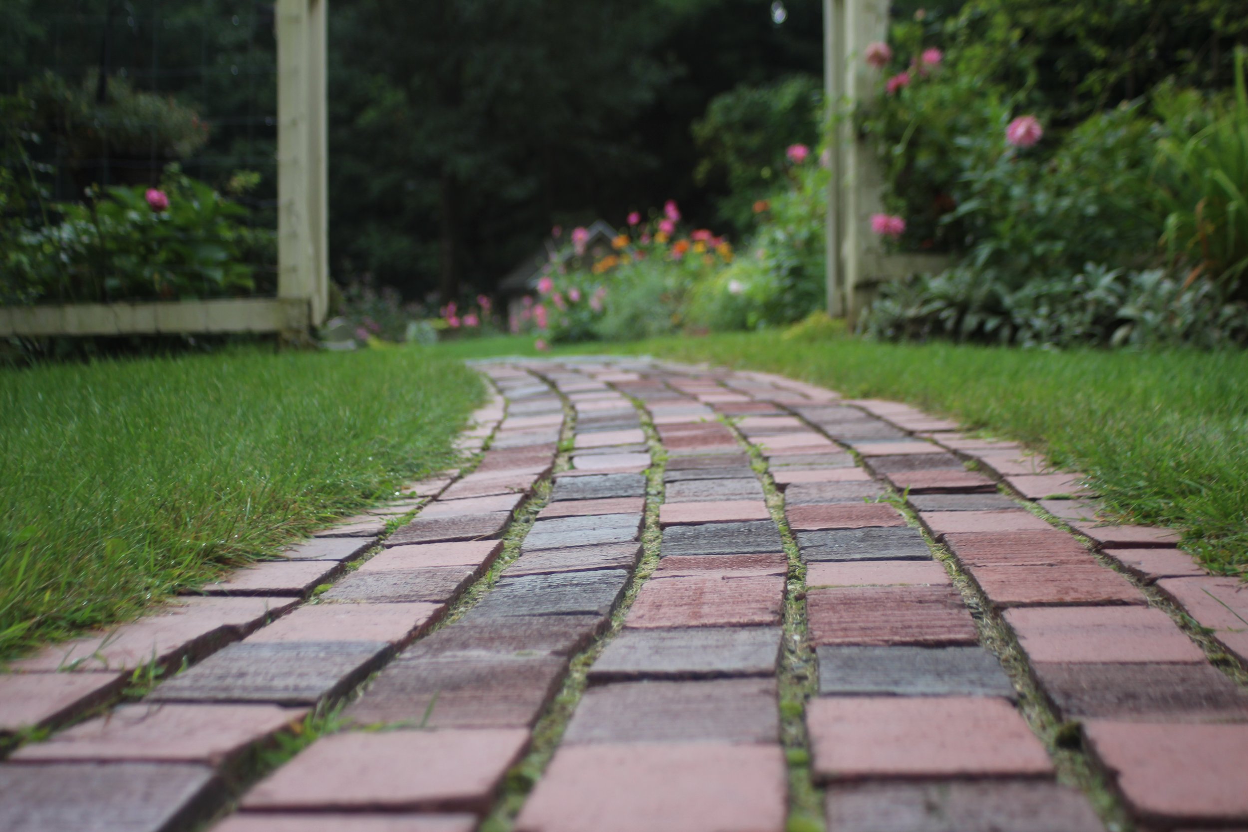 A brick pathway in a garden, with green grass on the sides and pink flowers along the fence, leading to a distant house surrounded by trees.