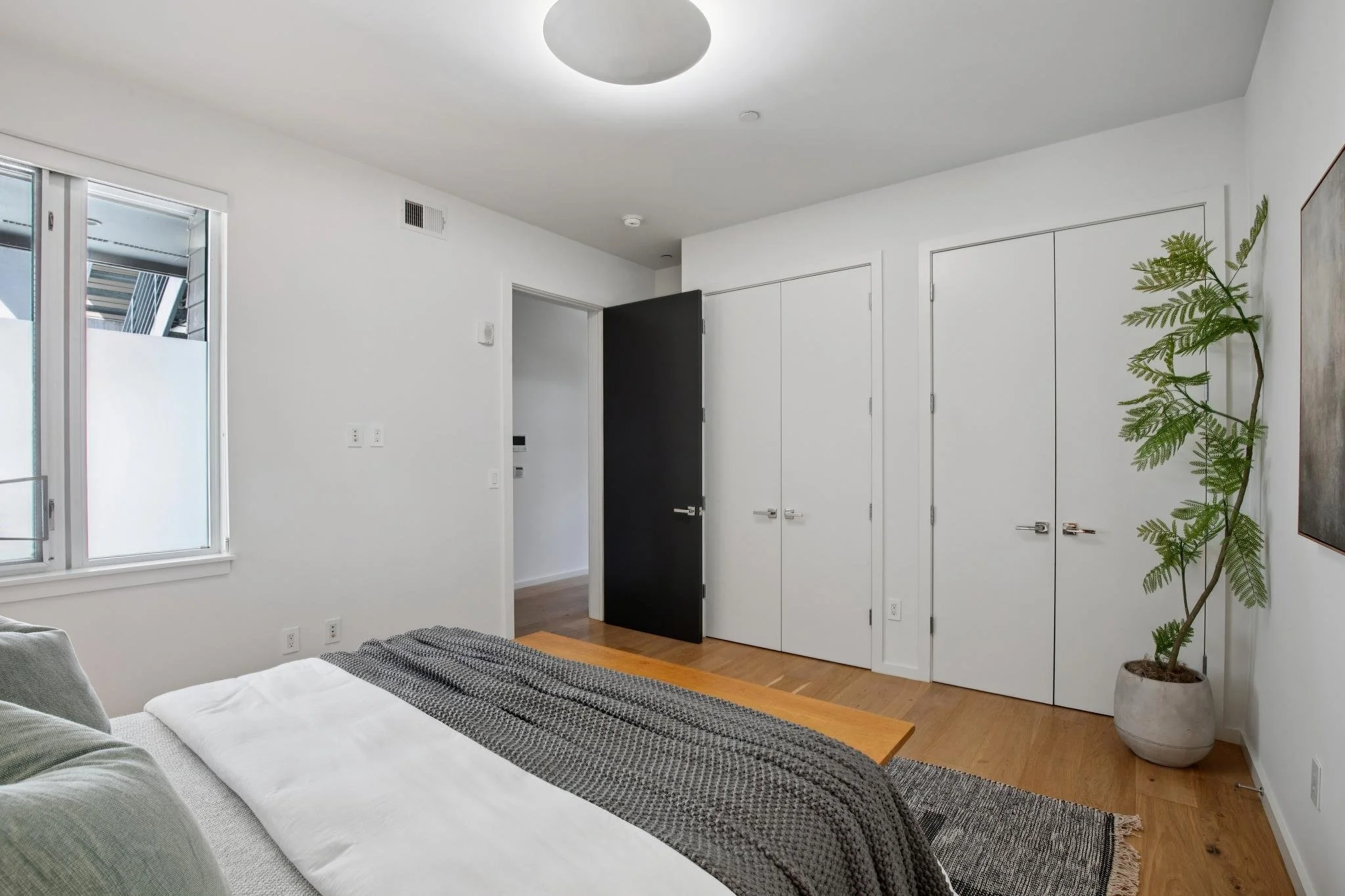 A bedroom with a gray sofa and a bed with a black and white striped blanket. There is a window on the left and white closet doors on the right. A green plant in a pot is placed in the corner near the closet.