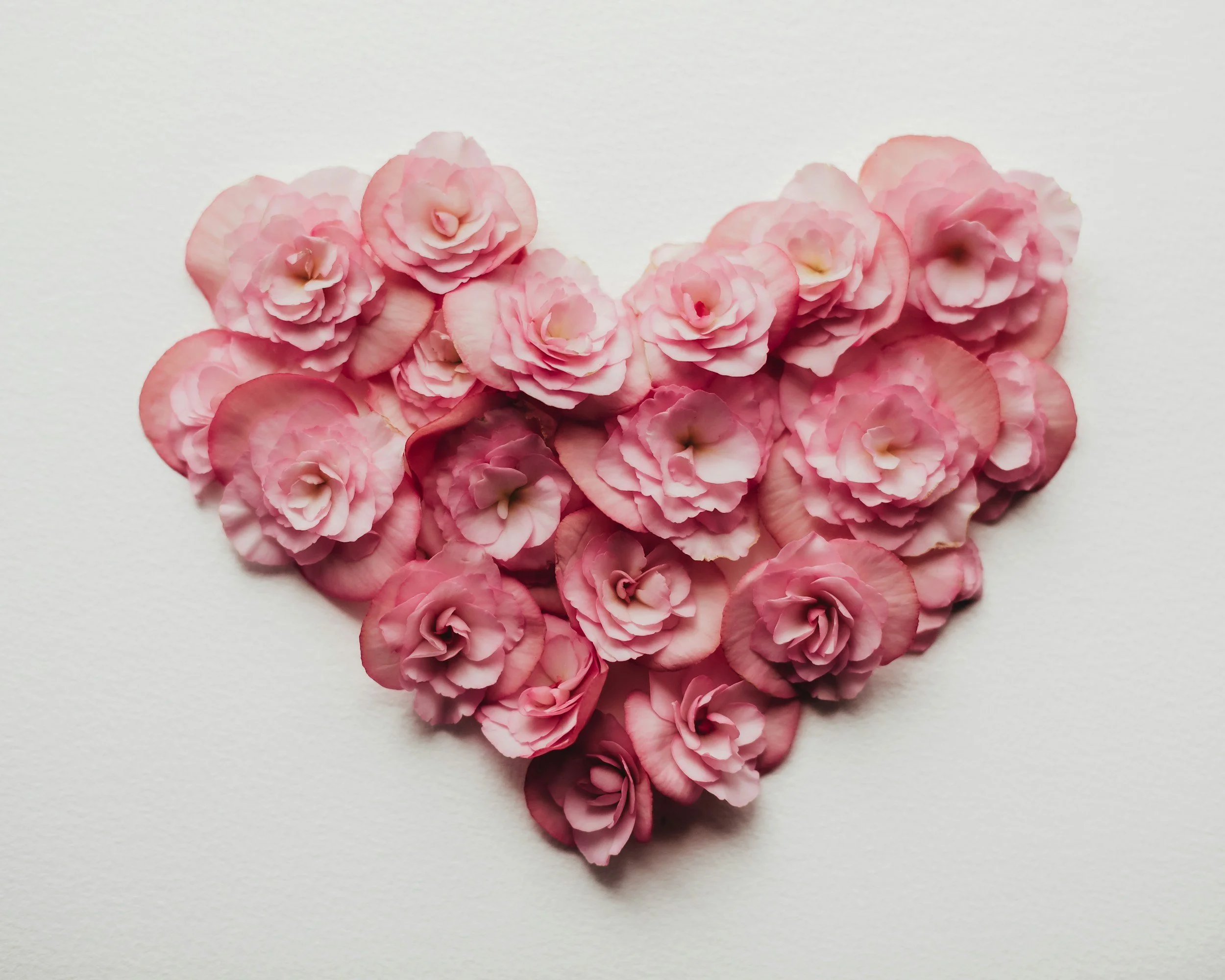 Pink flowers arranged in the shape of a heart on a white background.