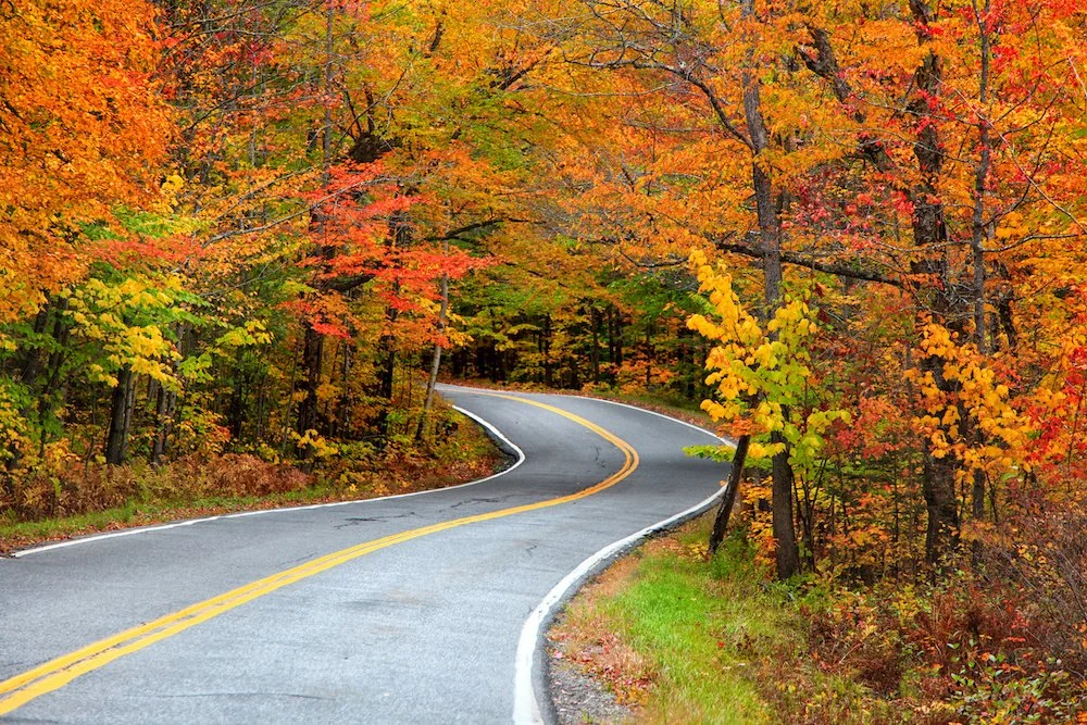 Why Do I Feel More Anxious as the Seasons Change?