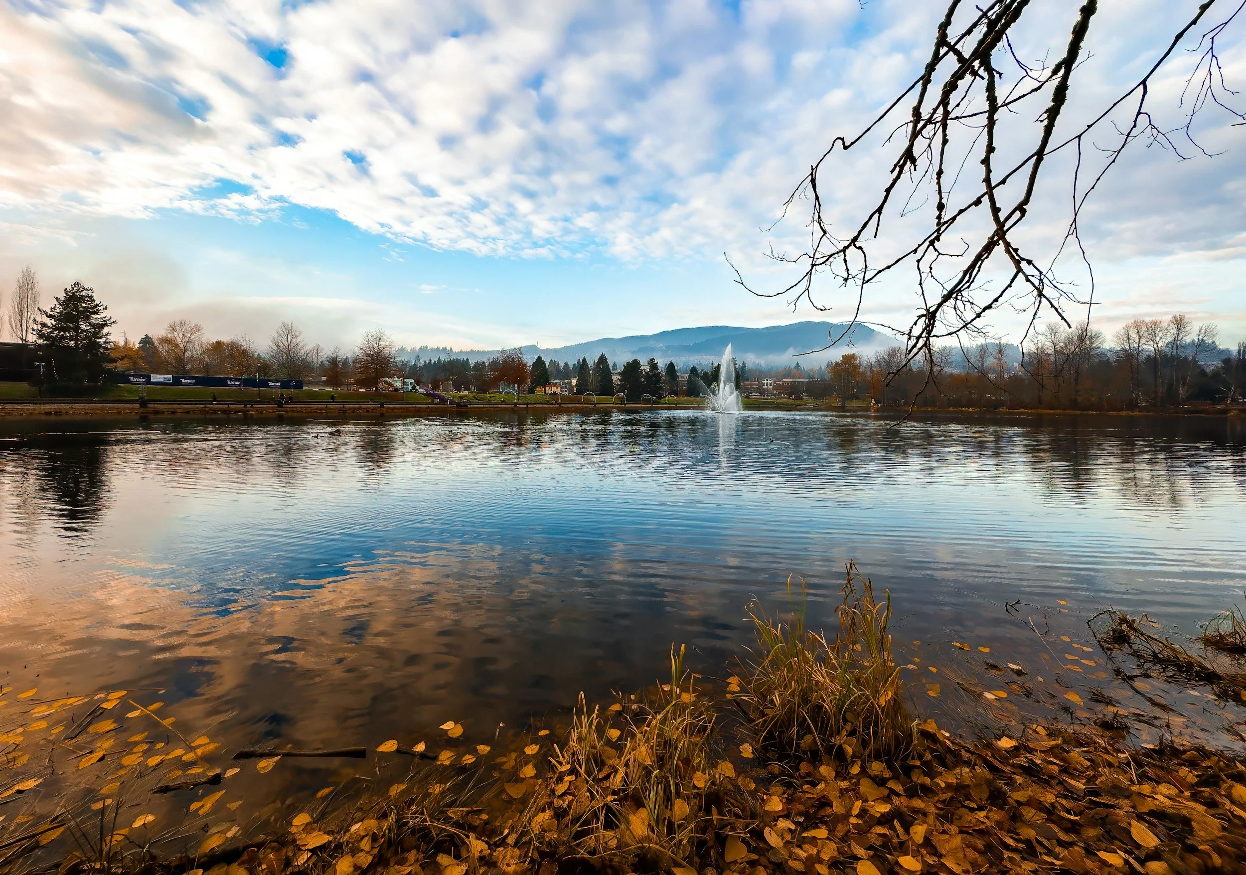 Lafarge Lake area in Coquitlam, BC