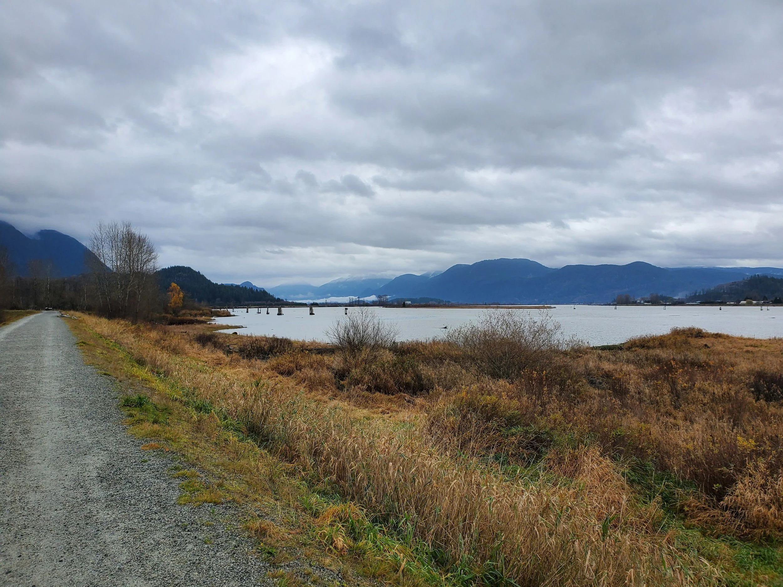 Port Coquitlam waterfront scenery