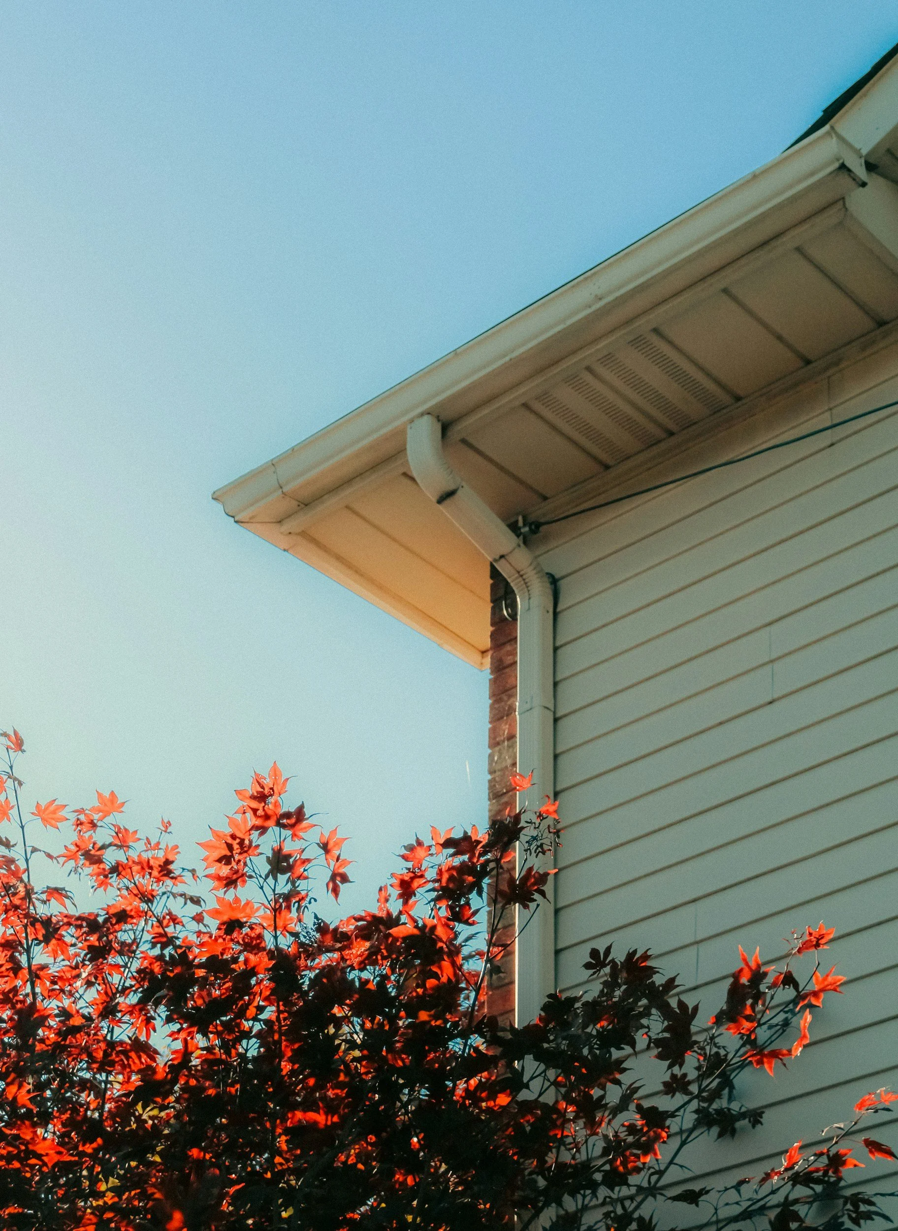 House Gutters
